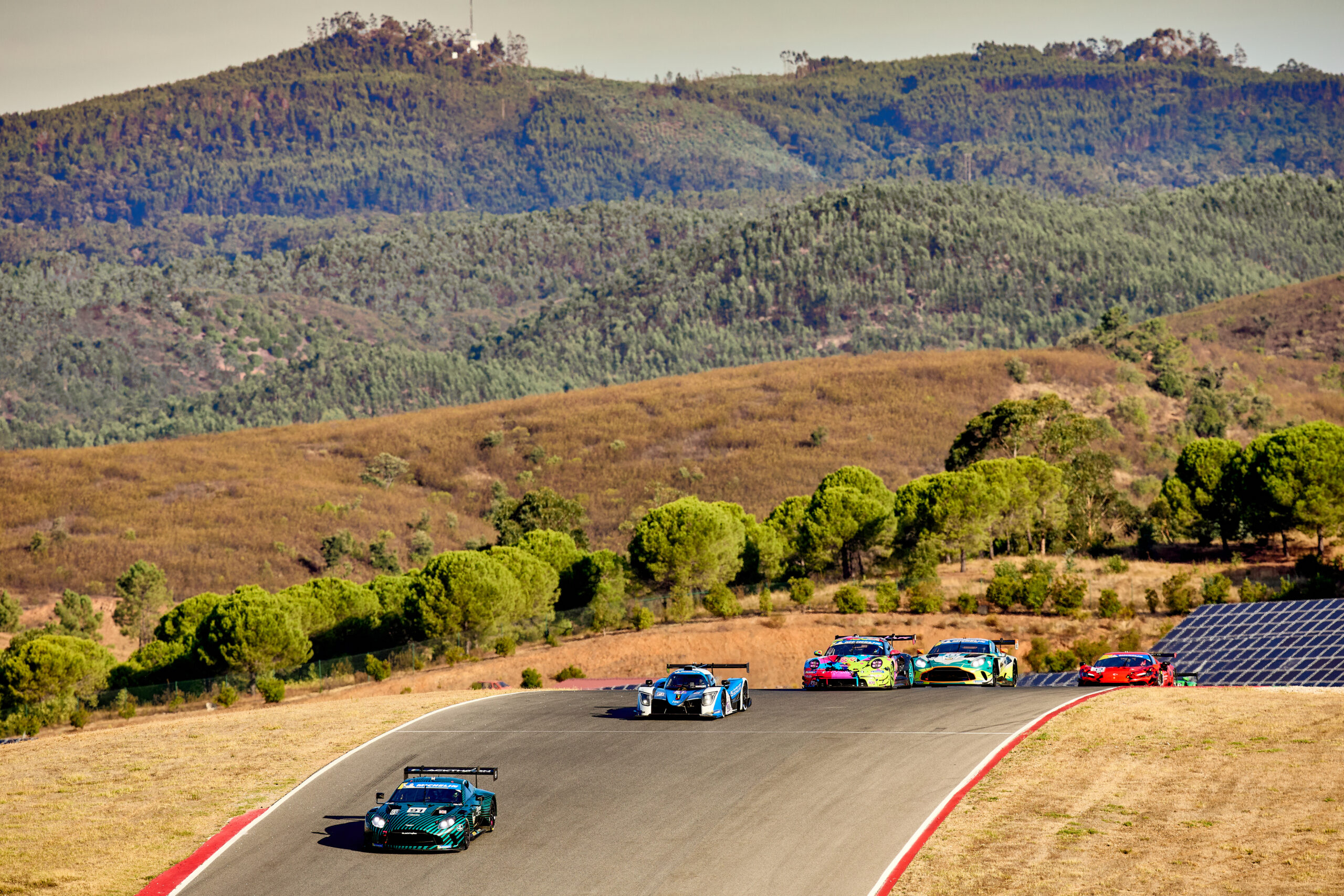 Craig Allan-McWilliams