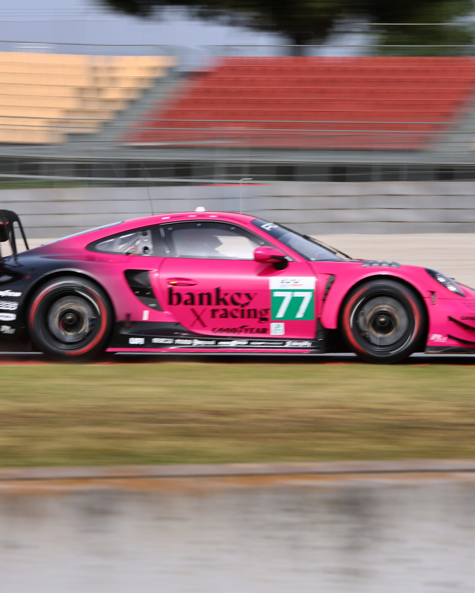 © 2026 Craig Allan-McWilliams