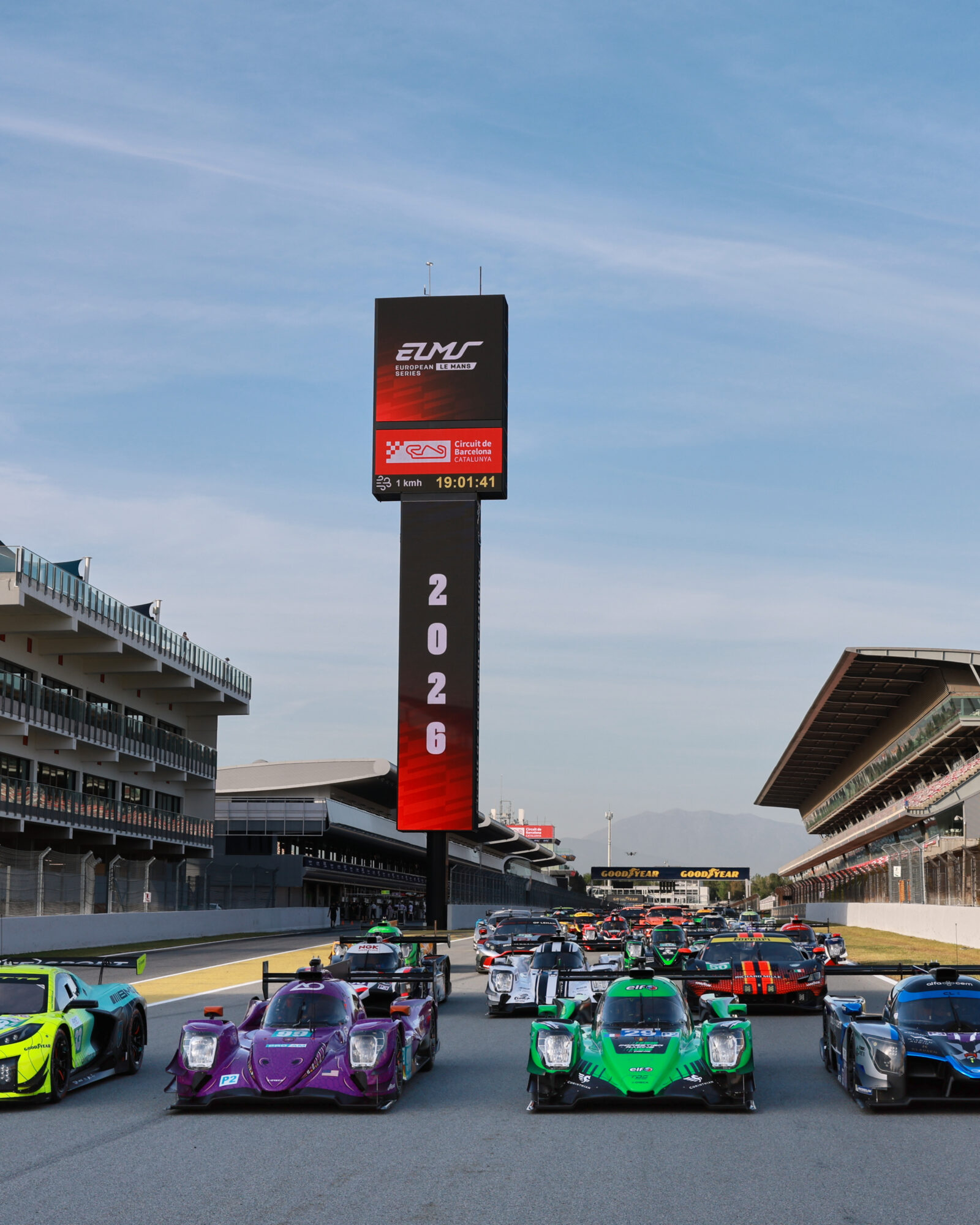 © 2026 Tracey Allan-McWilliams