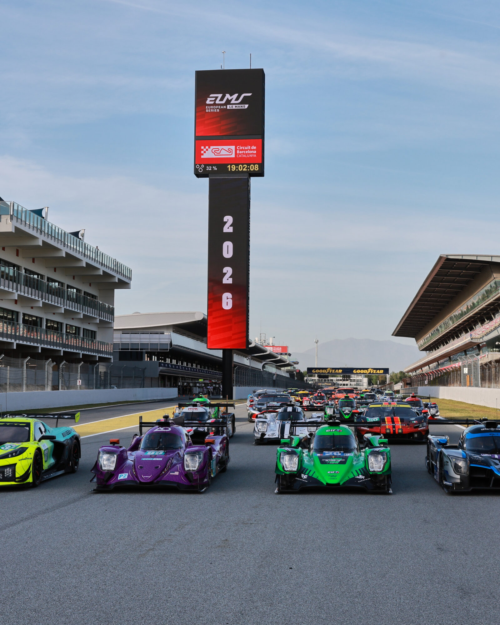 © 2026 Tracey Allan-McWilliams