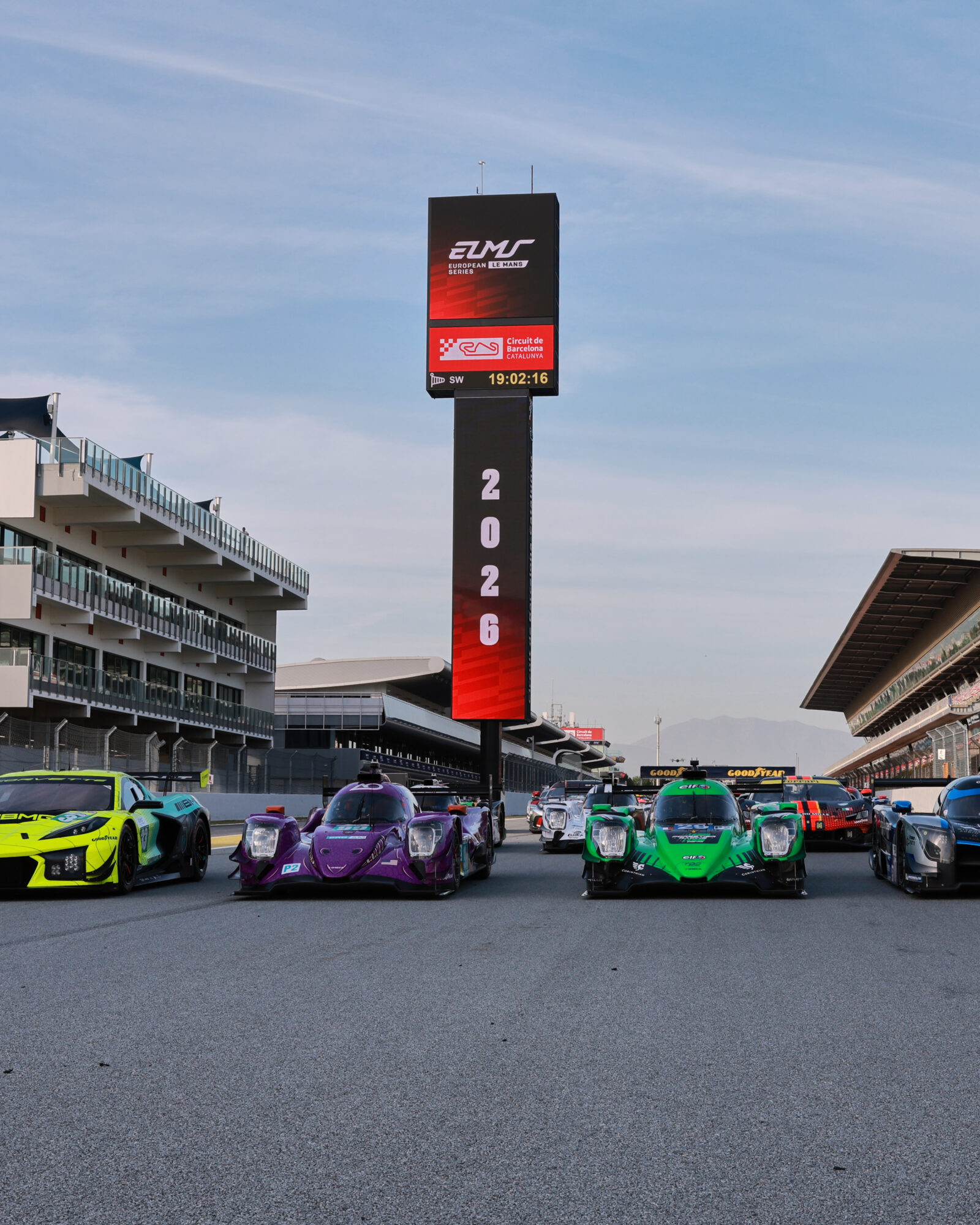 © 2026 Tracey Allan-McWilliams