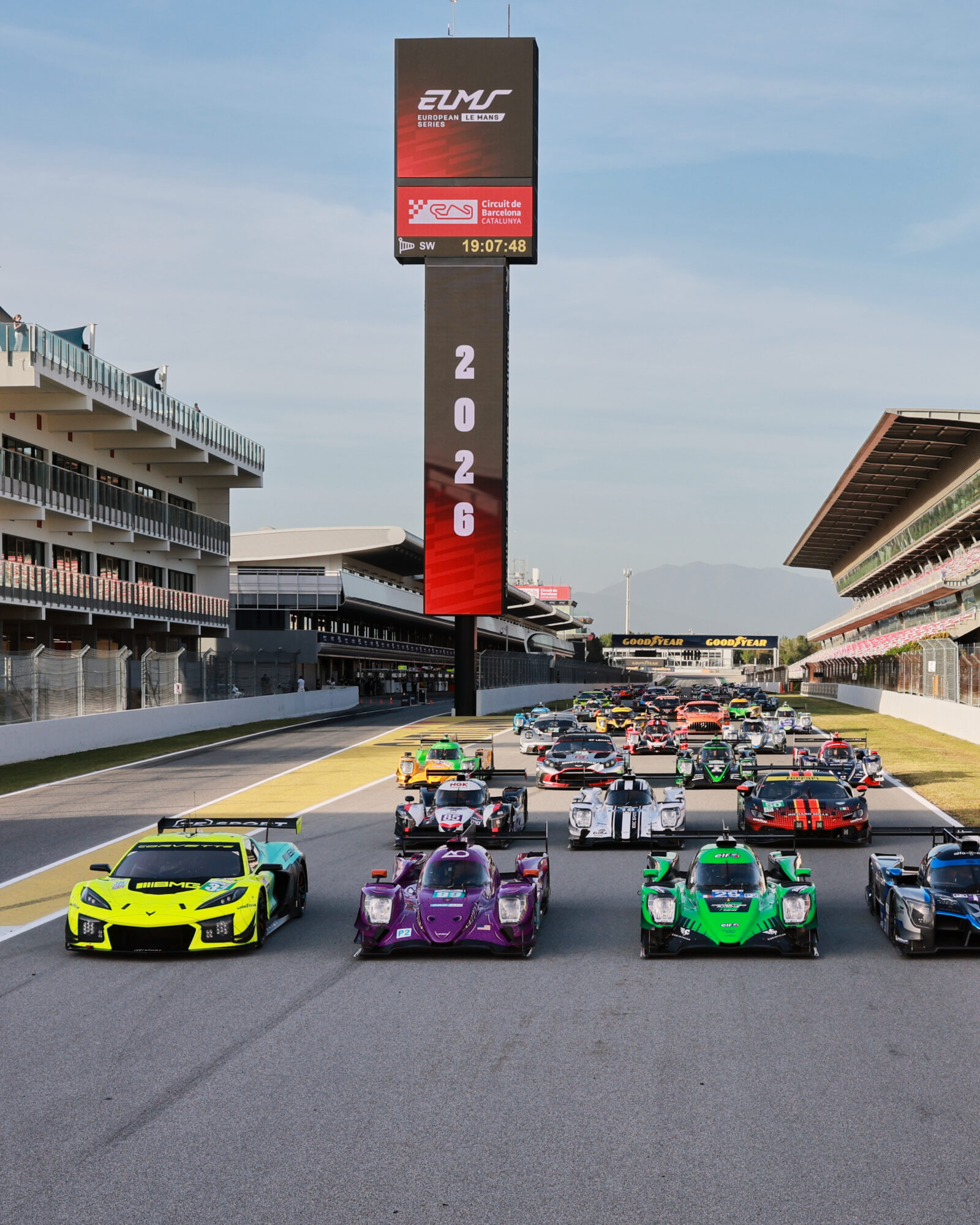 © 2026 Tracey Allan-McWilliams