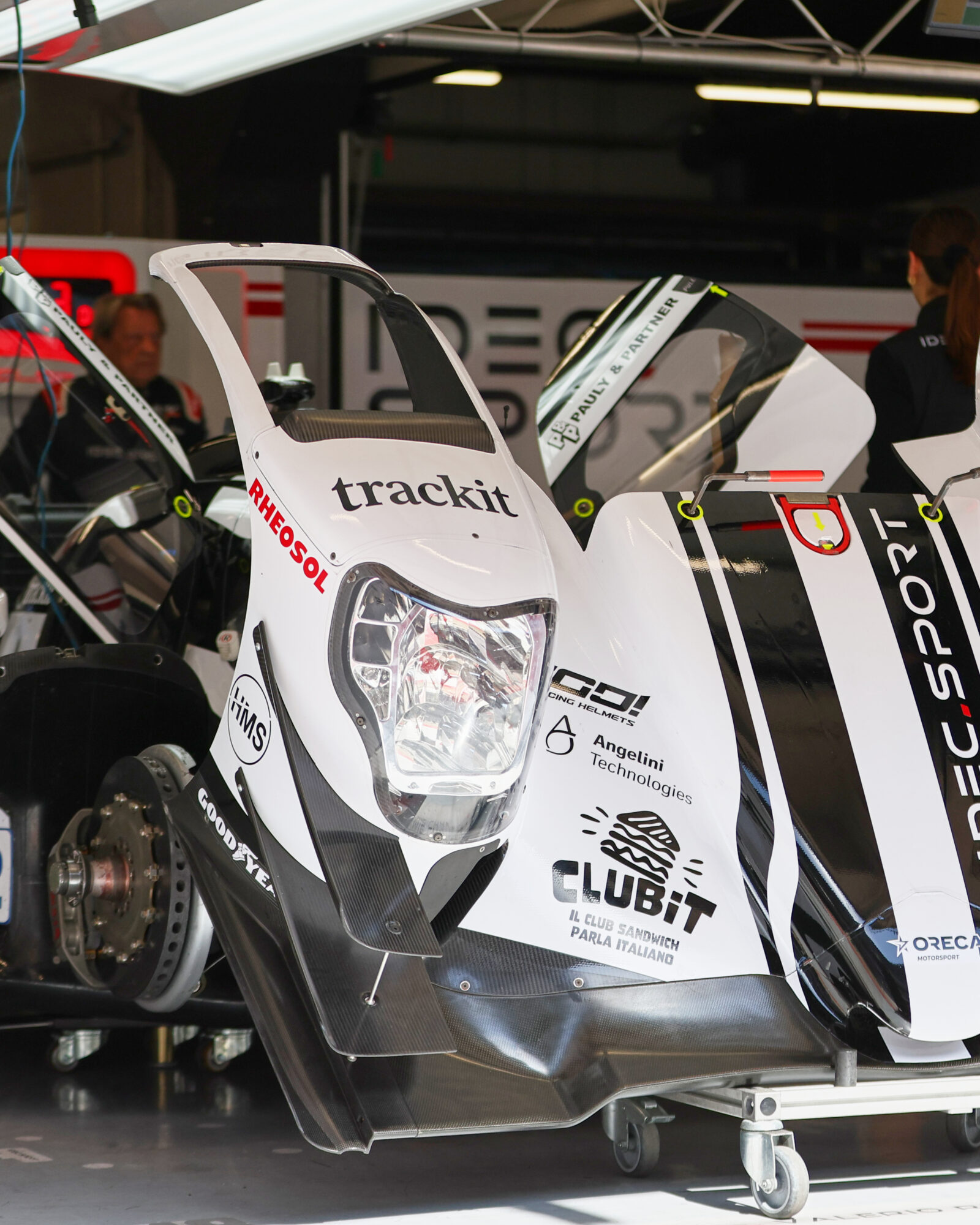 Tracey Allan-McWilliams