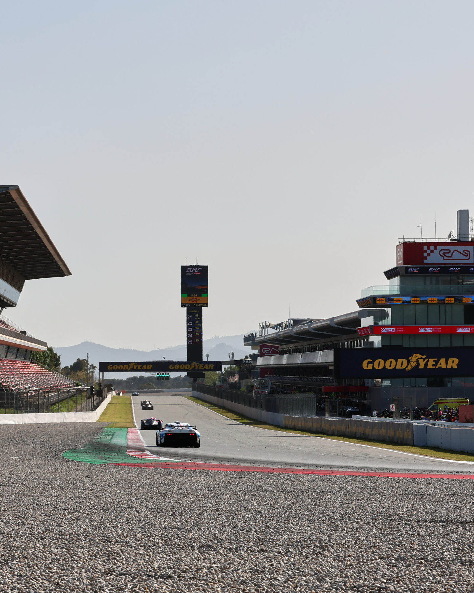 © 2026 Tracey Allan-McWilliams