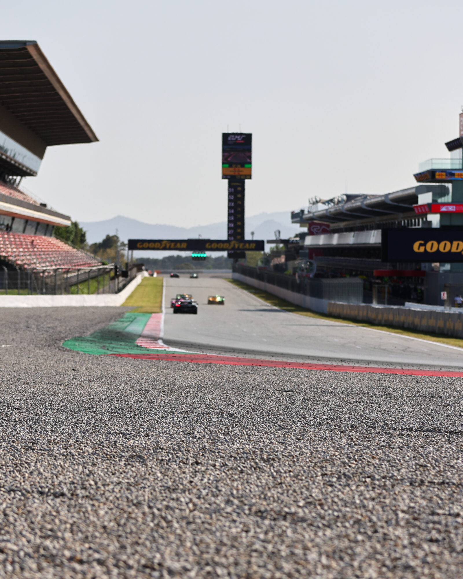 © 2026 Tracey Allan-McWilliams