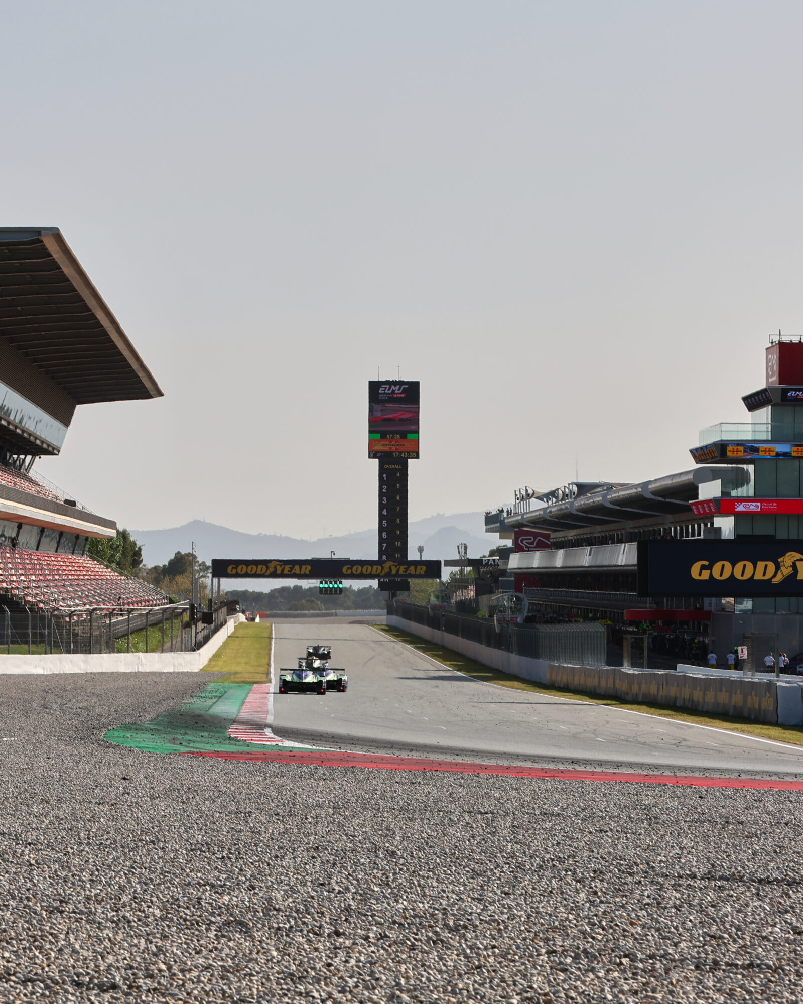 © 2026 Tracey Allan-McWilliams