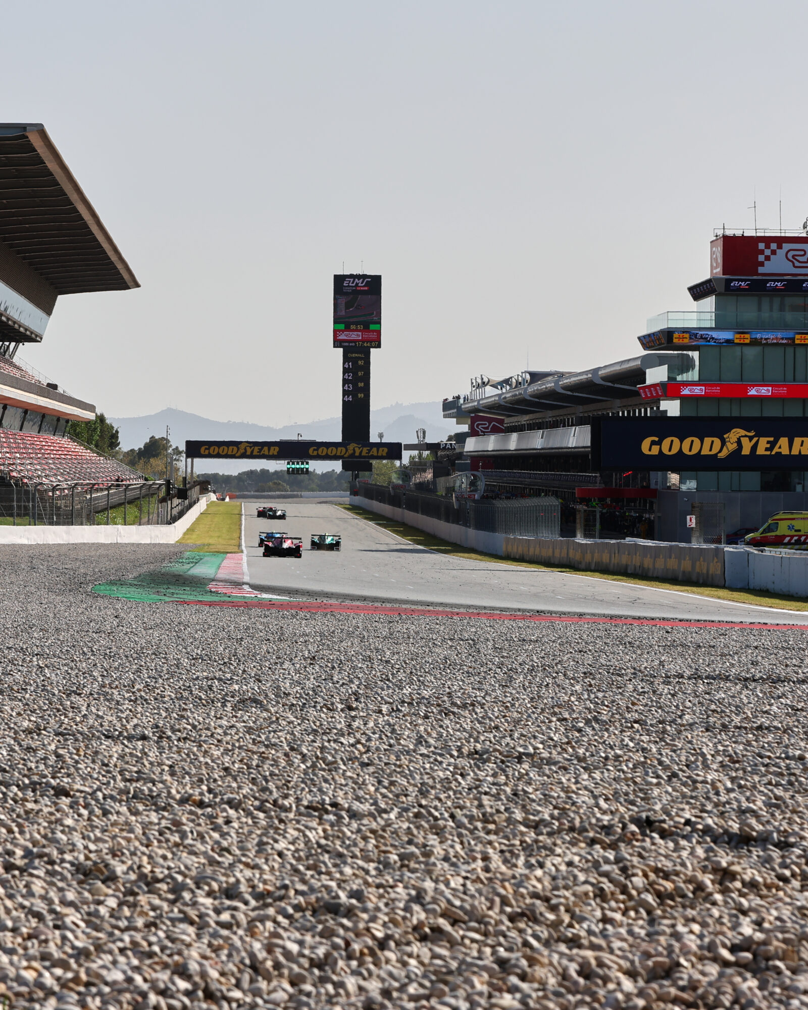 © 2026 Tracey Allan-McWilliams