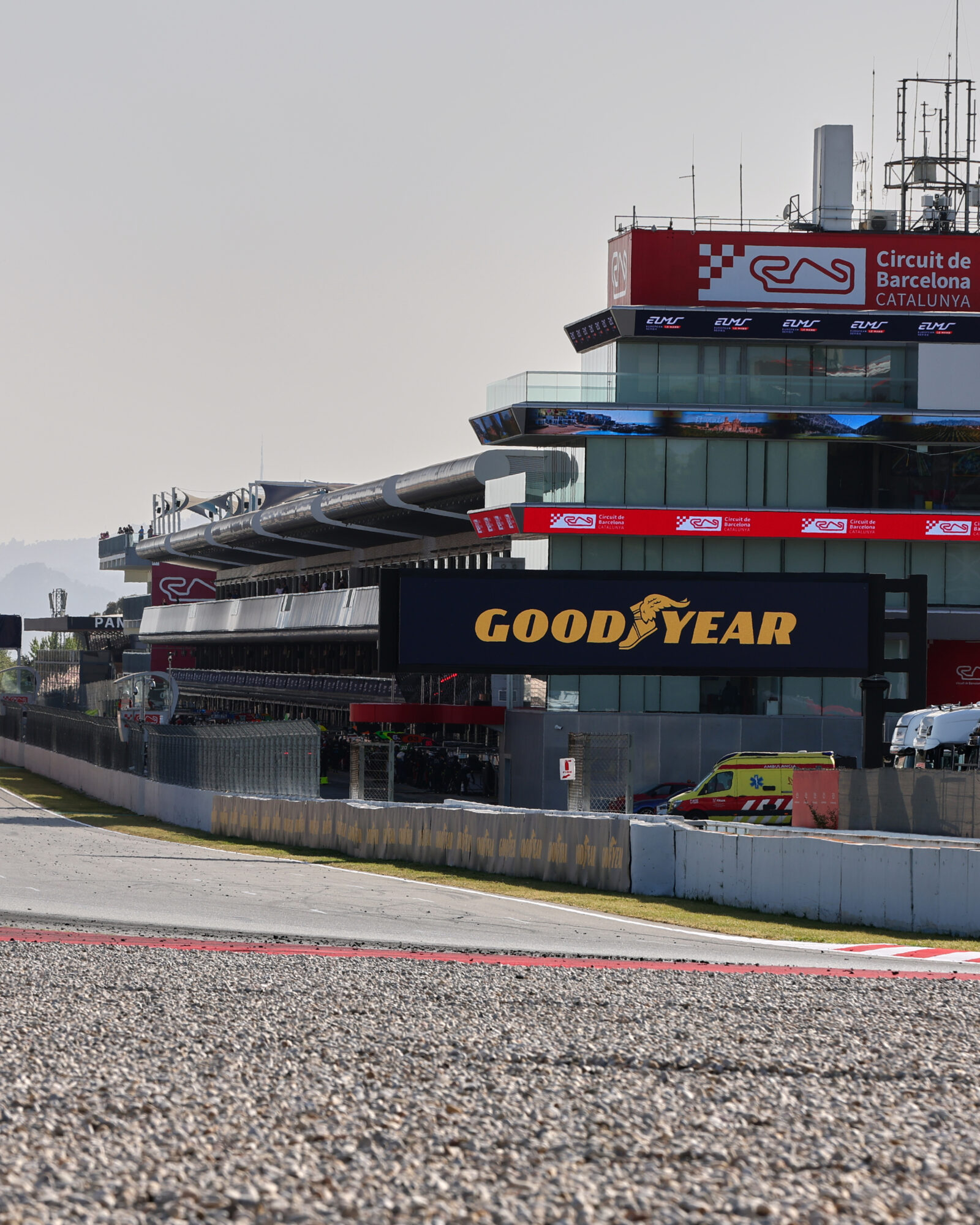 © 2026 Tracey Allan-McWilliams