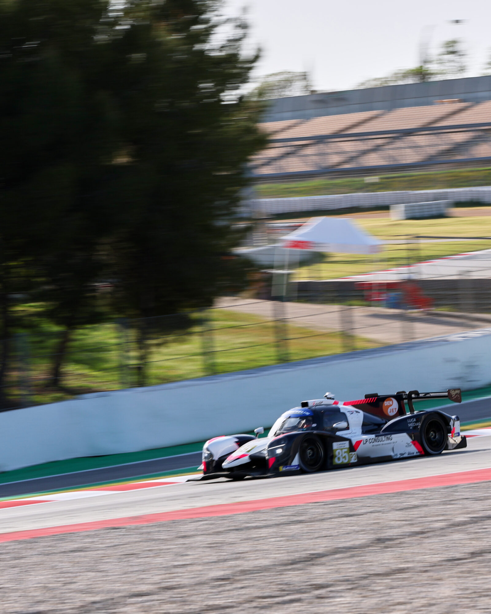 © 2026 Tracey Allan-McWilliams