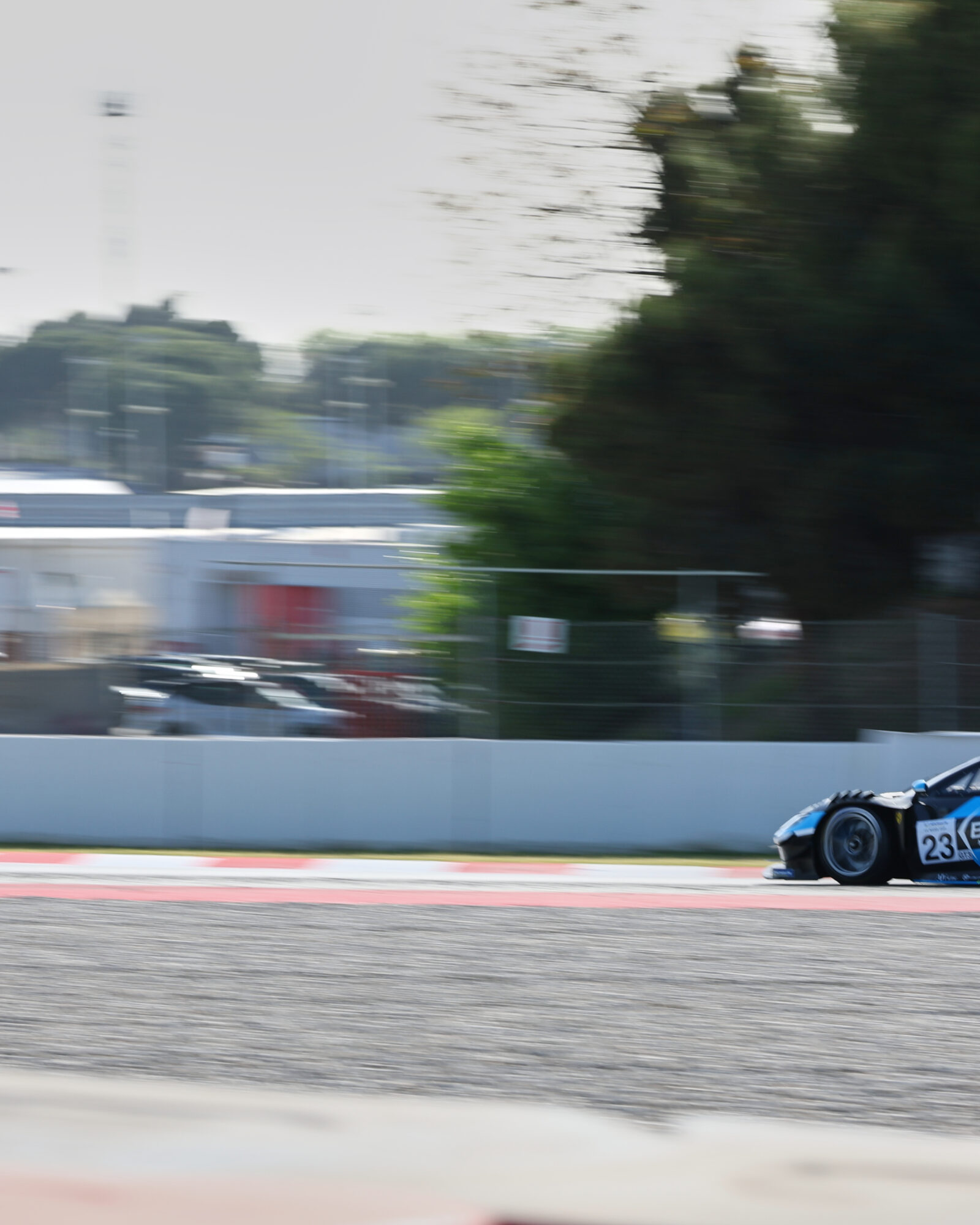 © 2026 Tracey Allan-McWilliams