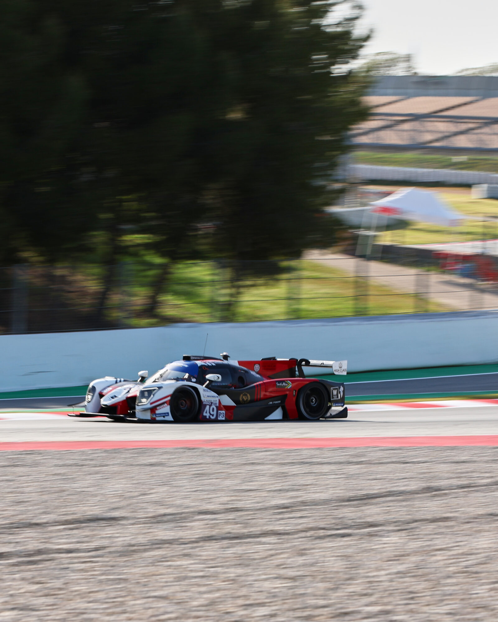 © 2026 Tracey Allan-McWilliams