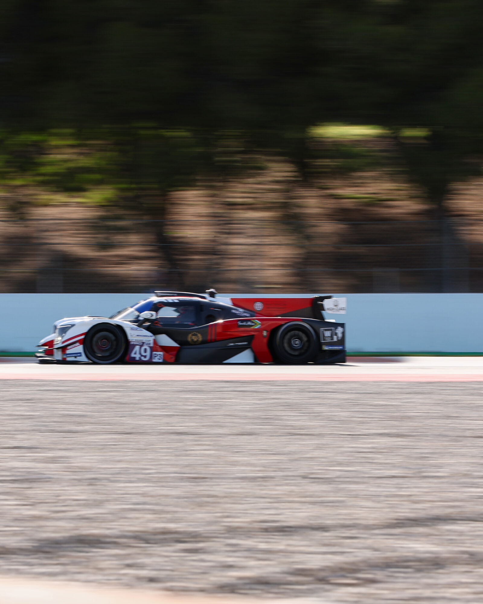 © 2026 Tracey Allan-McWilliams