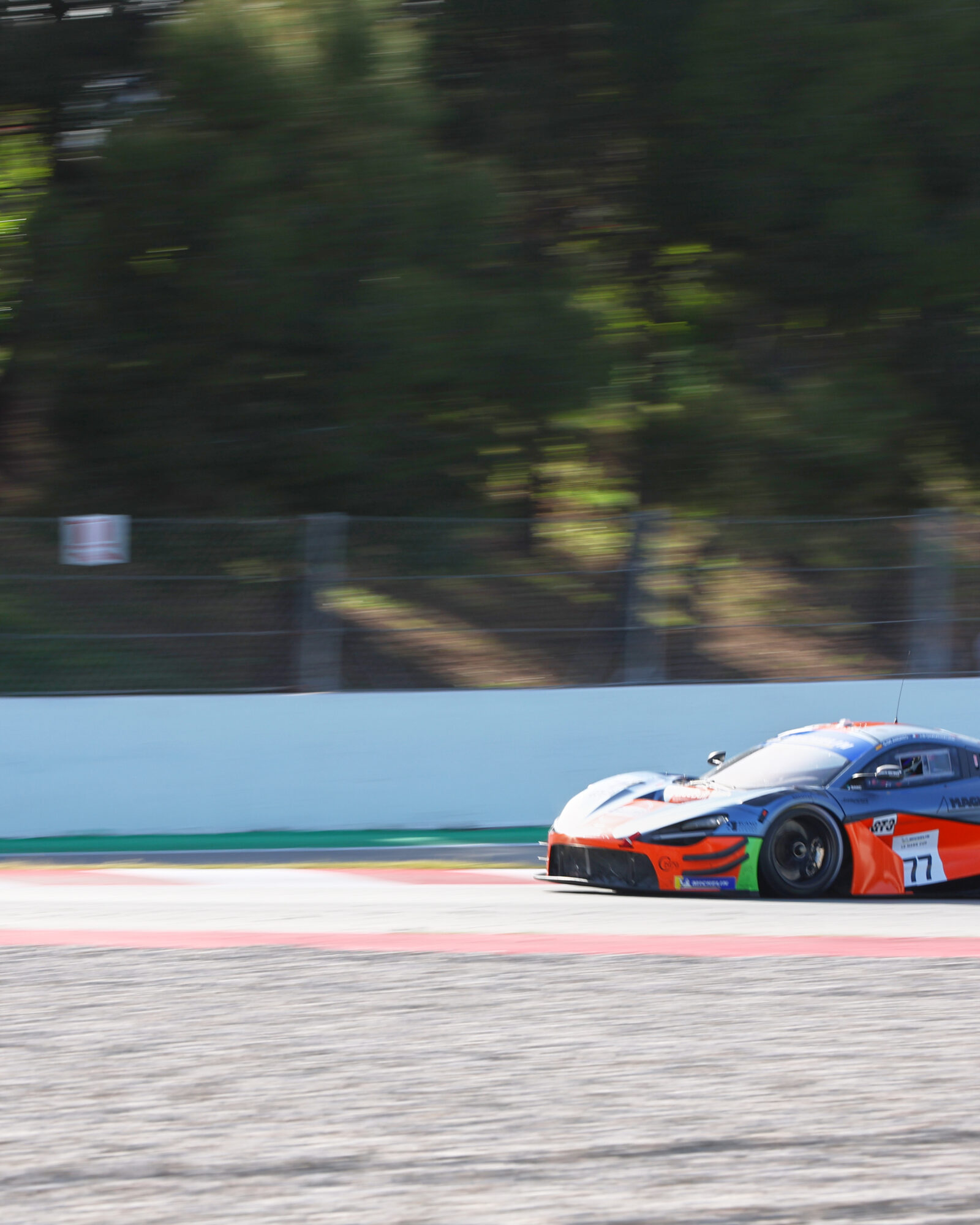 © 2026 Tracey Allan-McWilliams