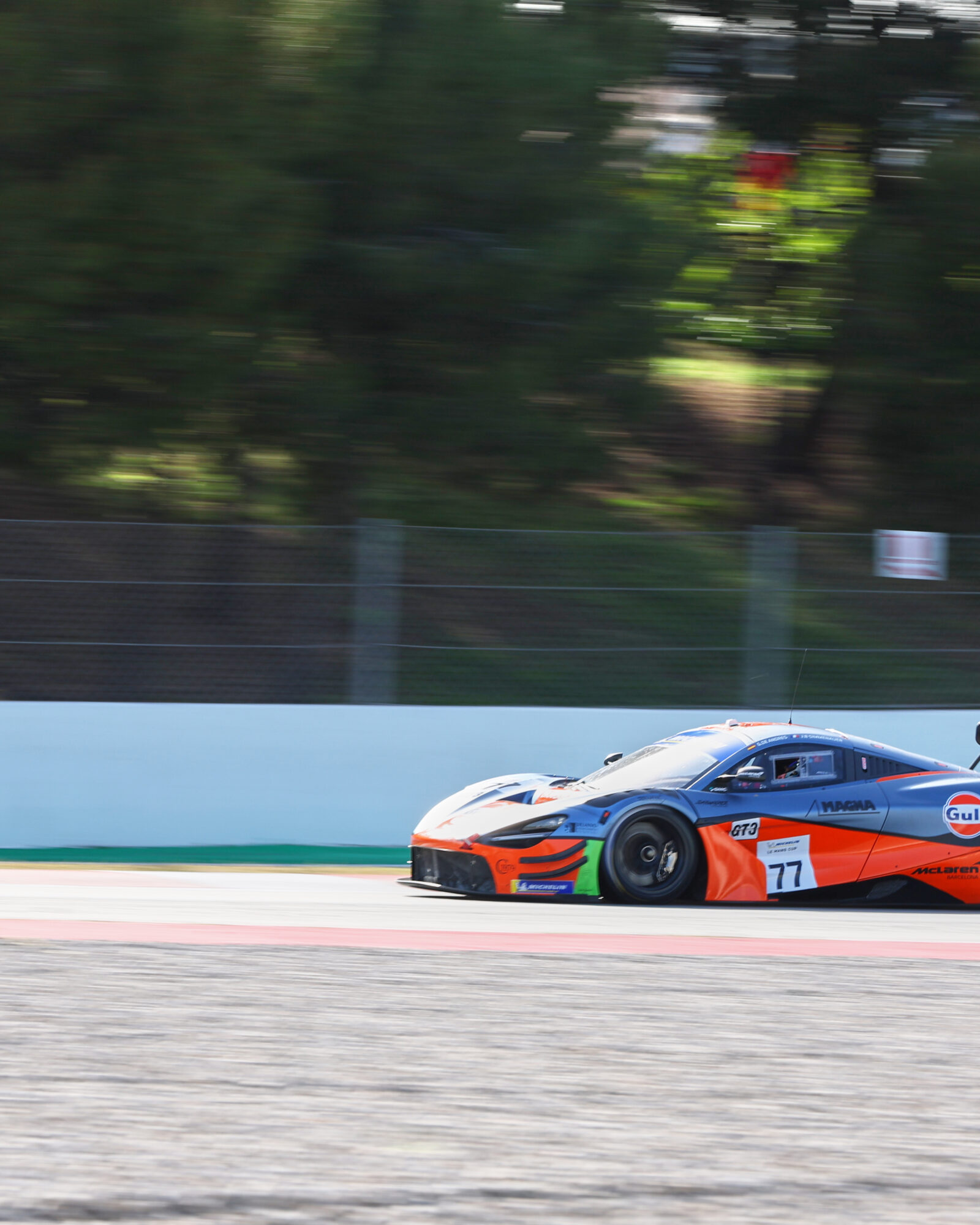 © 2026 Tracey Allan-McWilliams