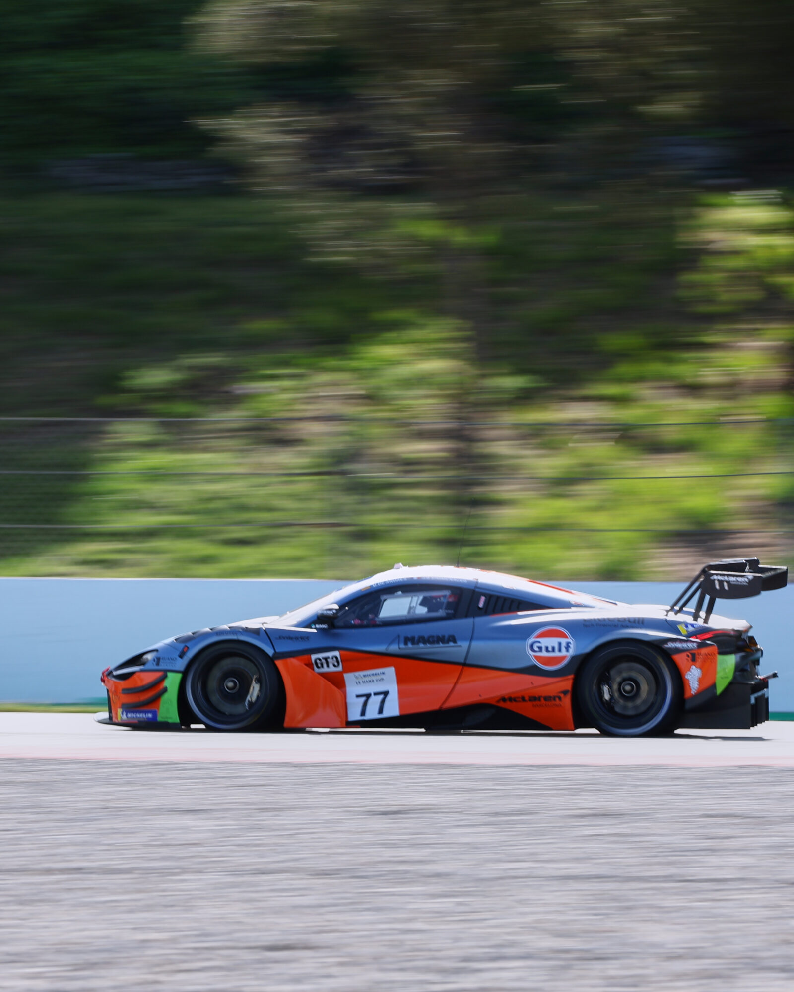 © 2026 Tracey Allan-McWilliams