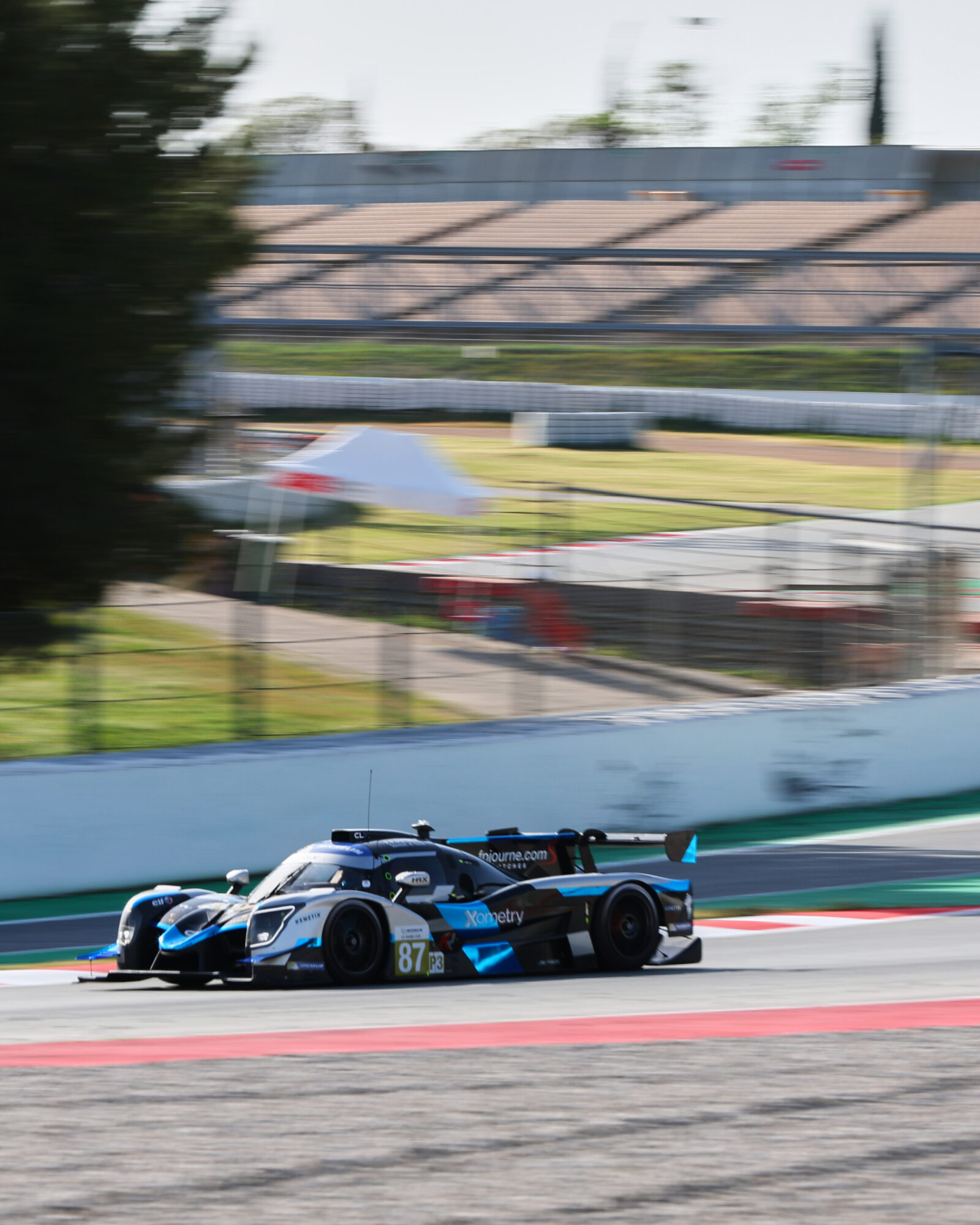 © 2026 Tracey Allan-McWilliams