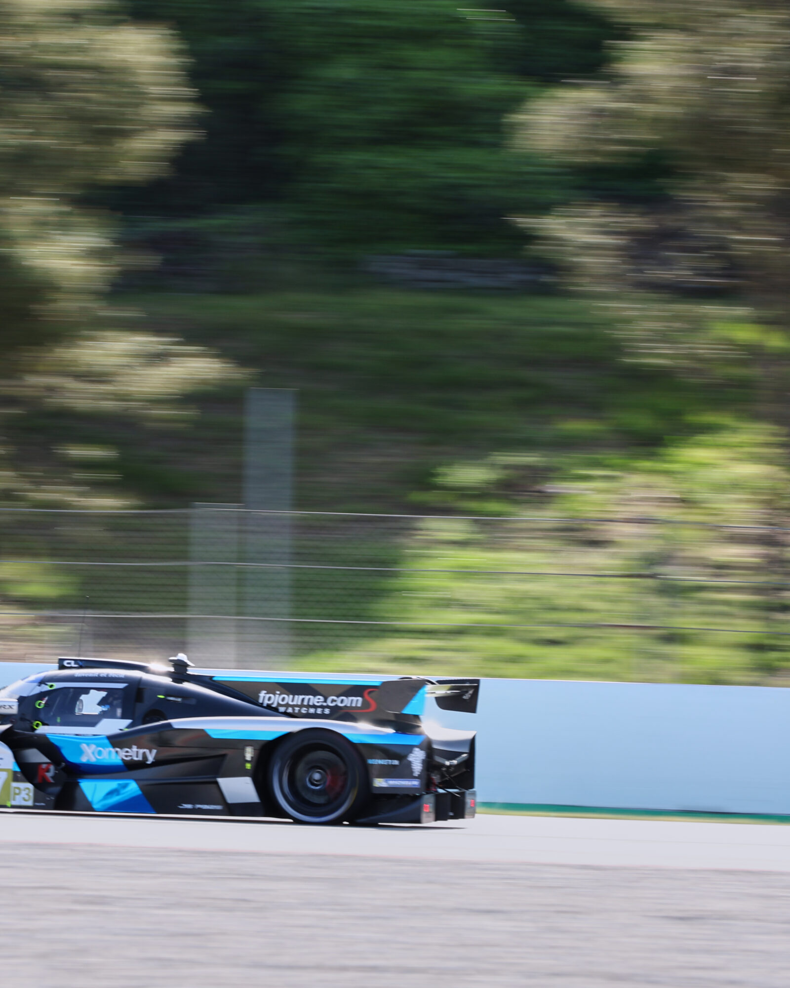 © 2026 Tracey Allan-McWilliams