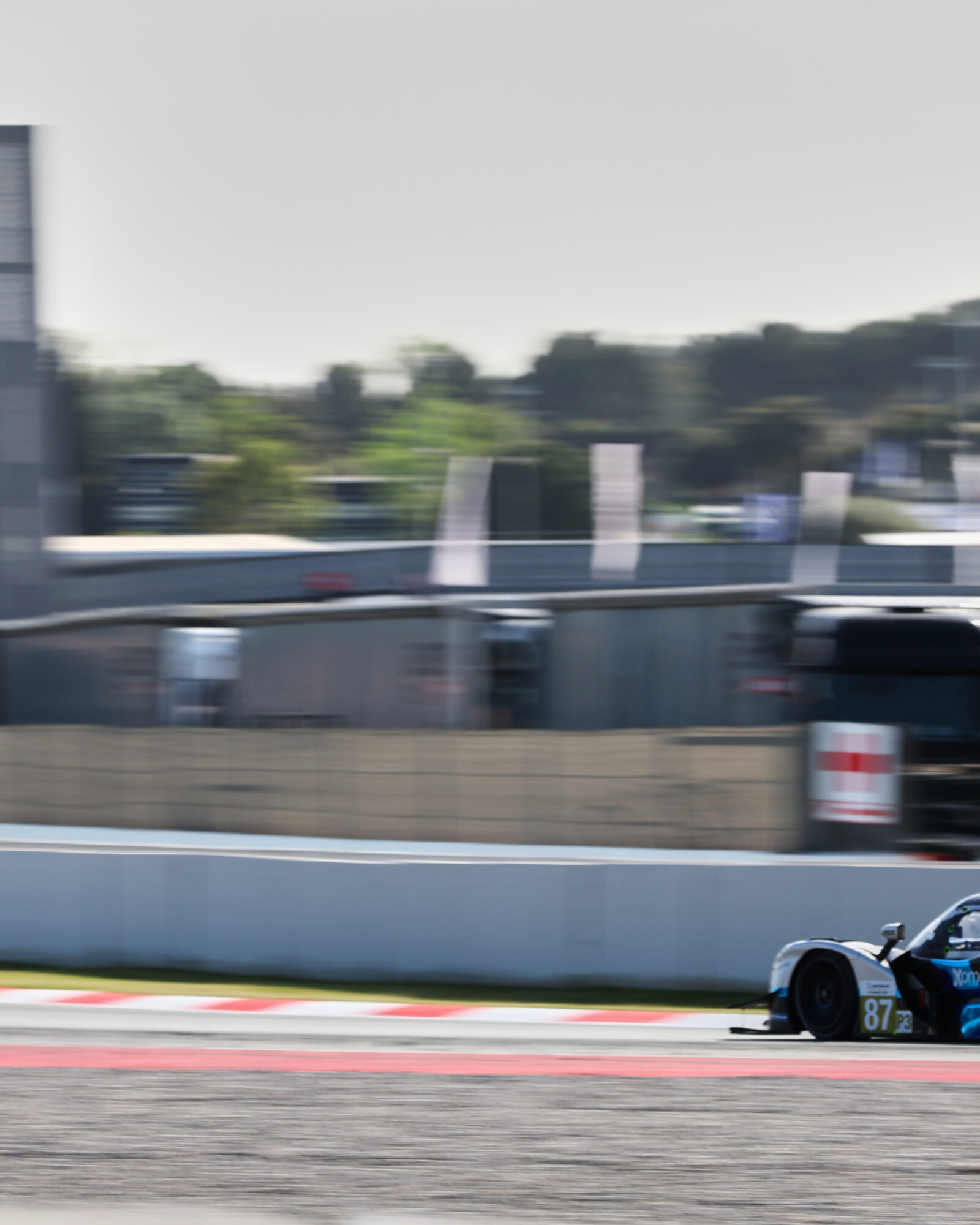 © 2026 Tracey Allan-McWilliams