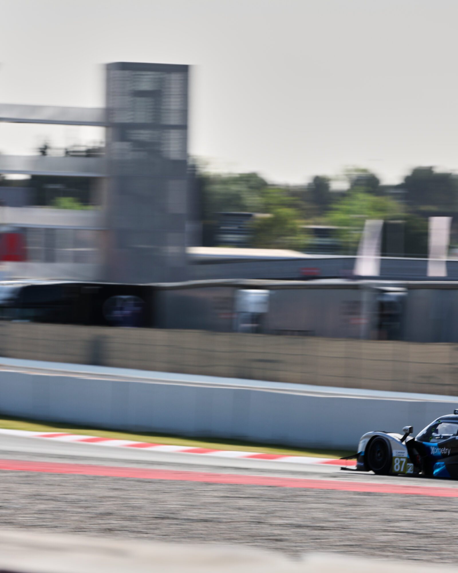 © 2026 Tracey Allan-McWilliams