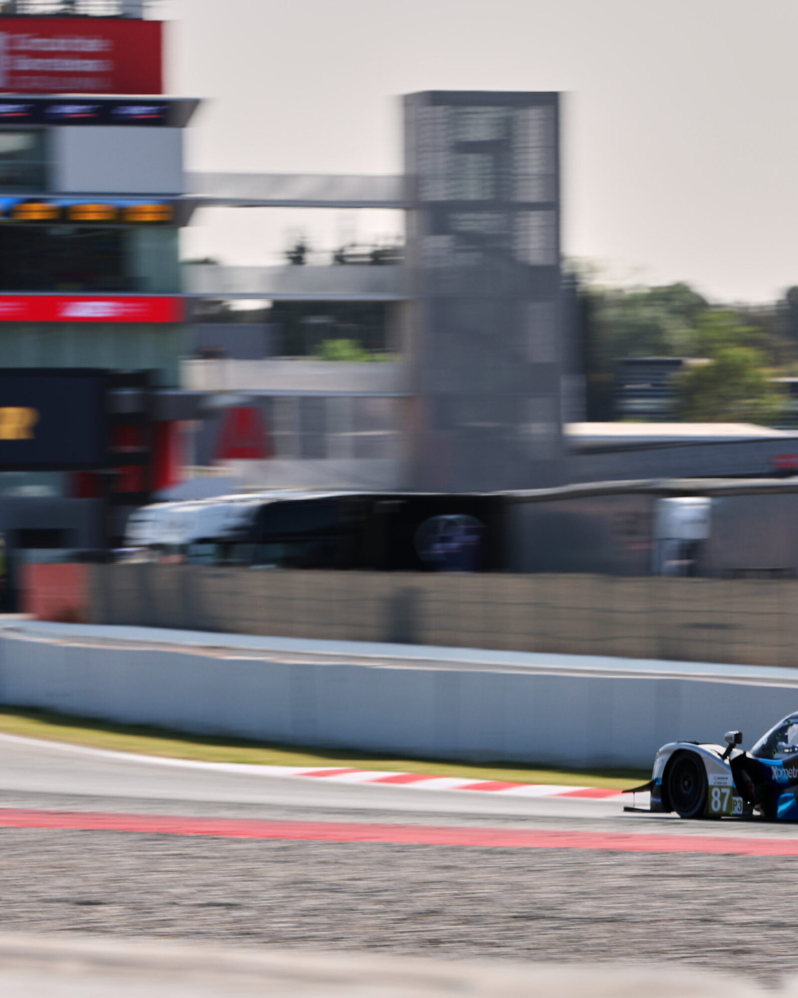 © 2026 Tracey Allan-McWilliams