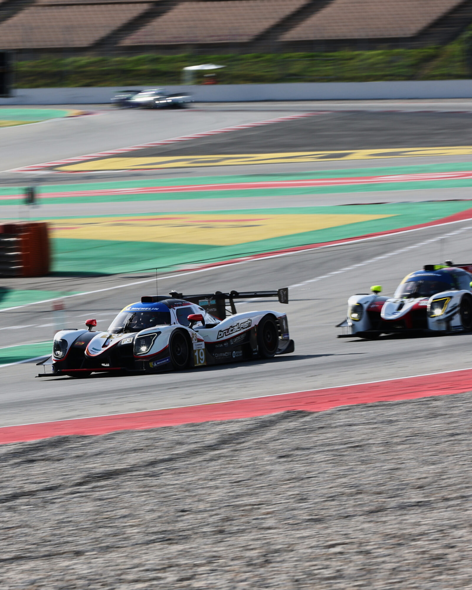 © 2026 Tracey Allan-McWilliams