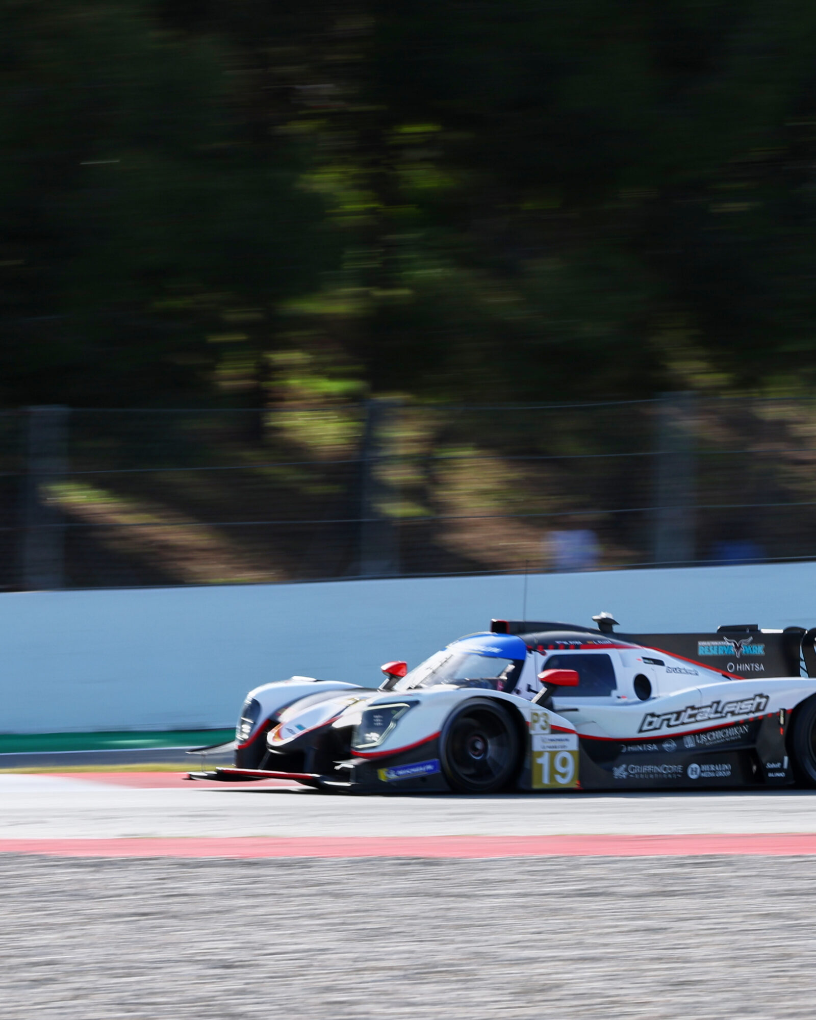 © 2026 Tracey Allan-McWilliams