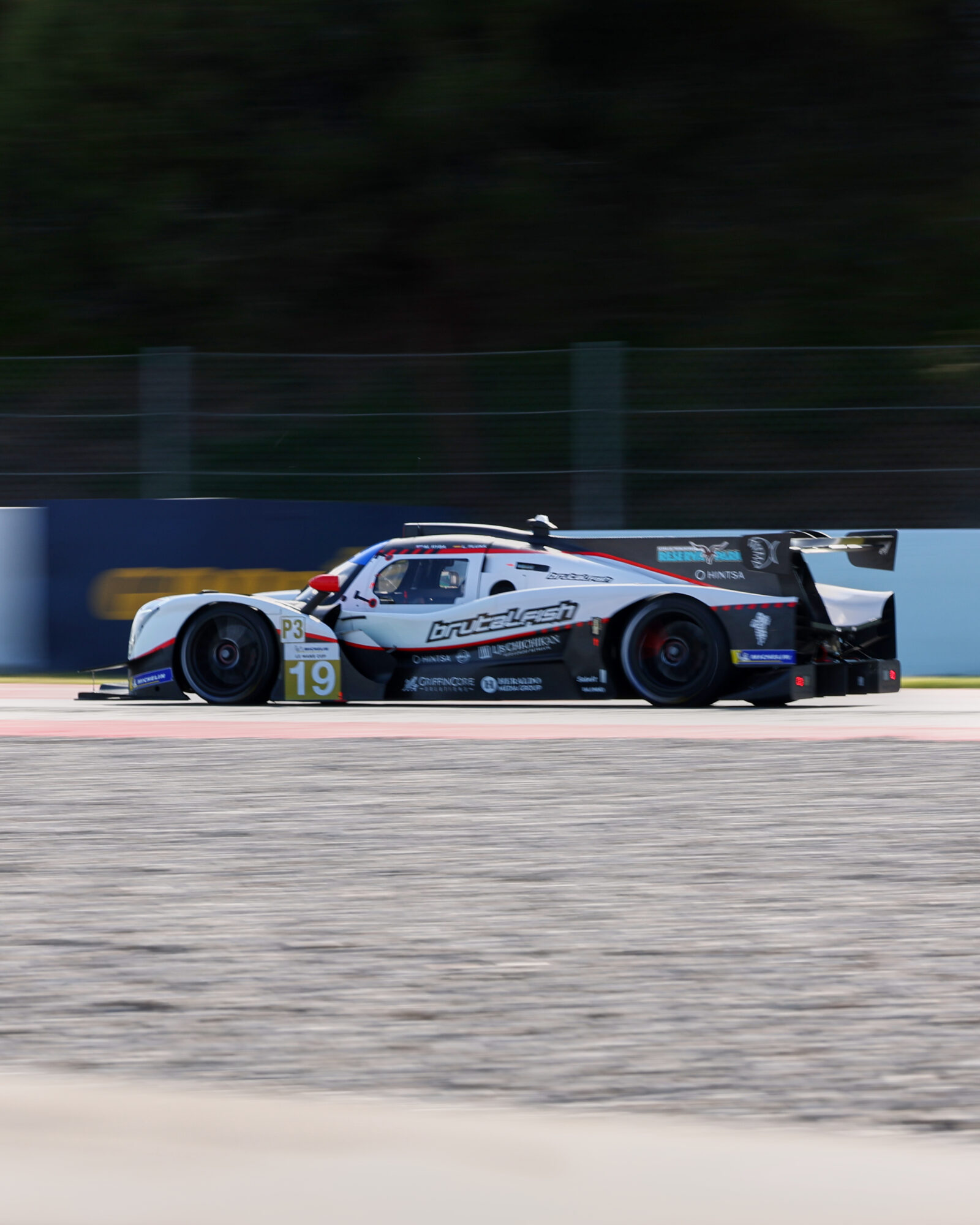 © 2026 Tracey Allan-McWilliams