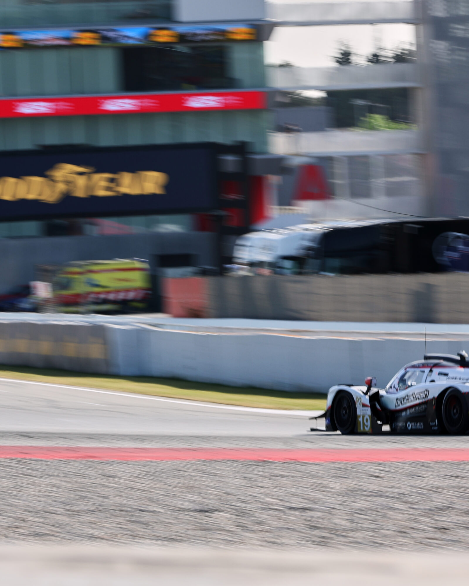 © 2026 Tracey Allan-McWilliams