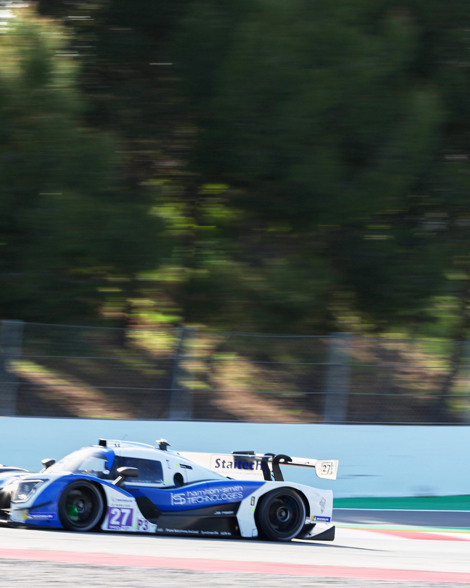 © 2026 Tracey Allan-McWilliams