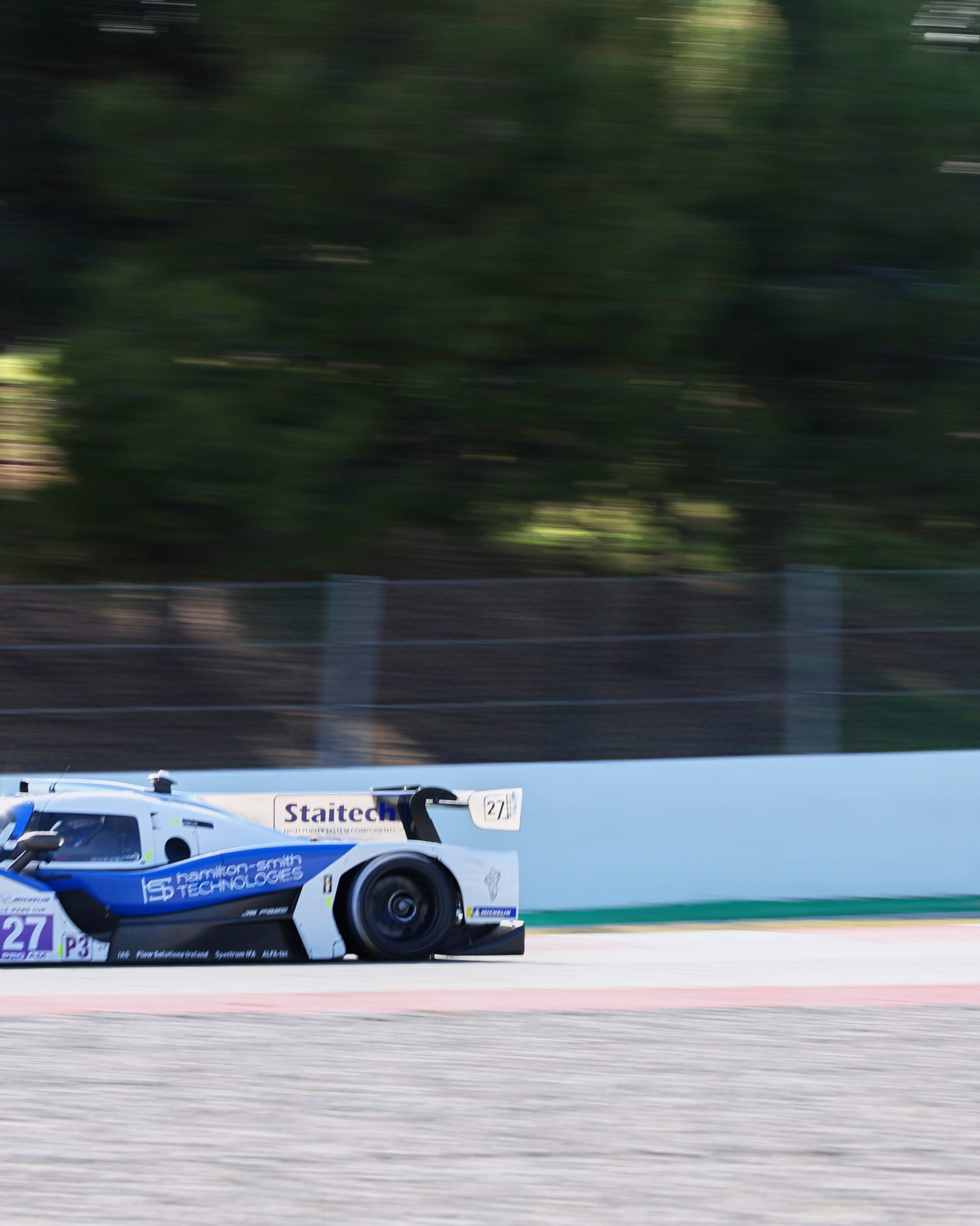 © 2026 Tracey Allan-McWilliams