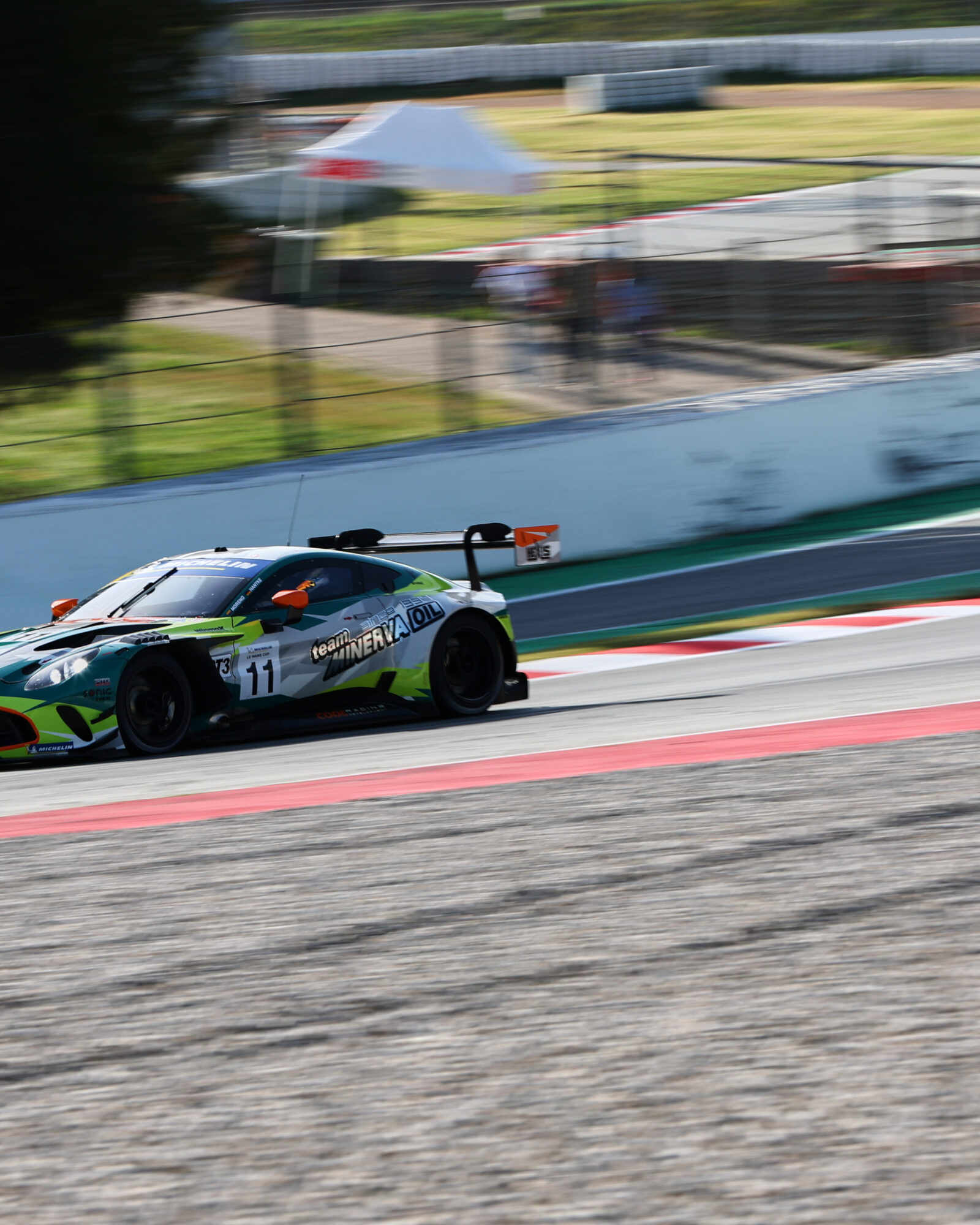 © 2026 Tracey Allan-McWilliams