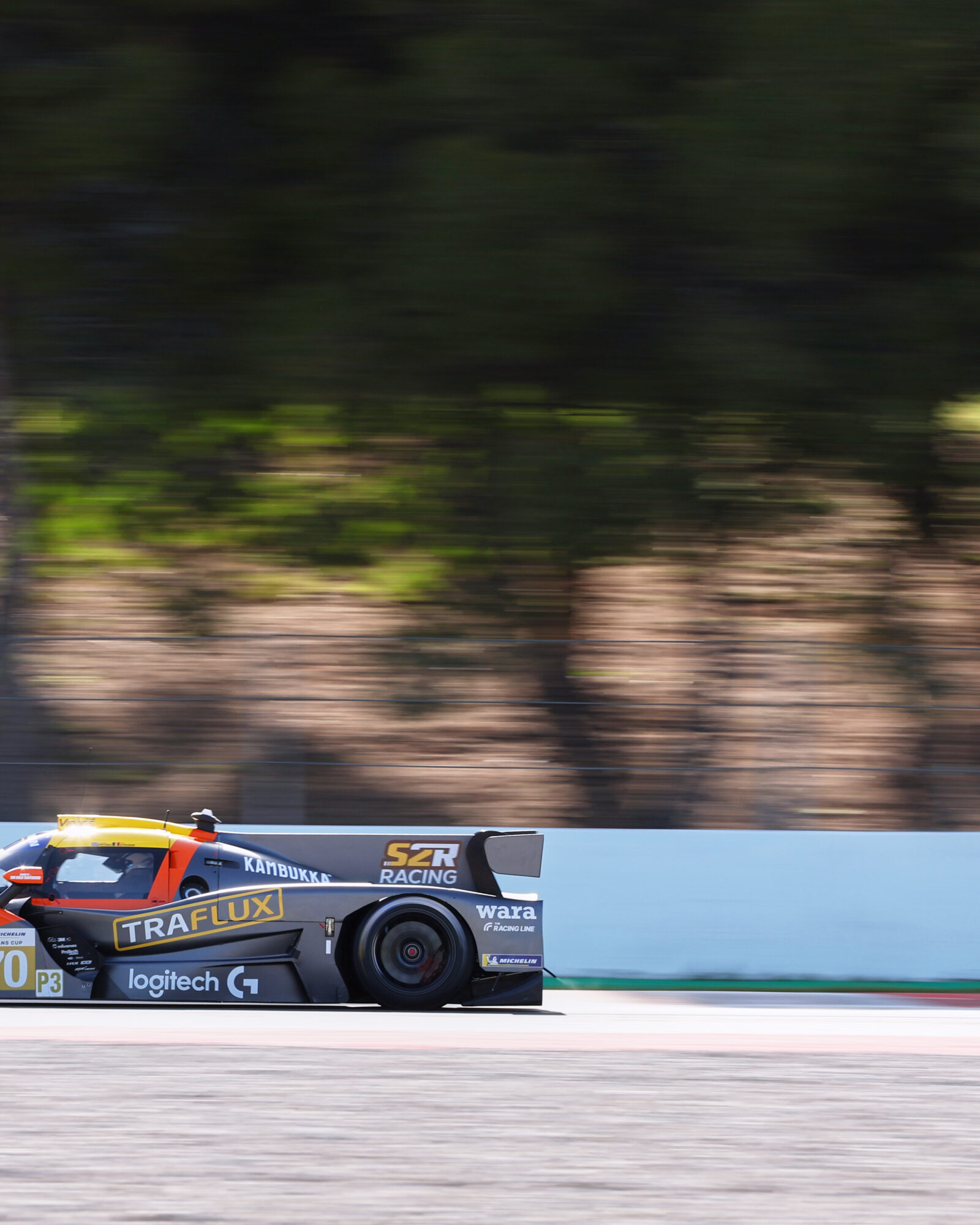 © 2026 Tracey Allan-McWilliams