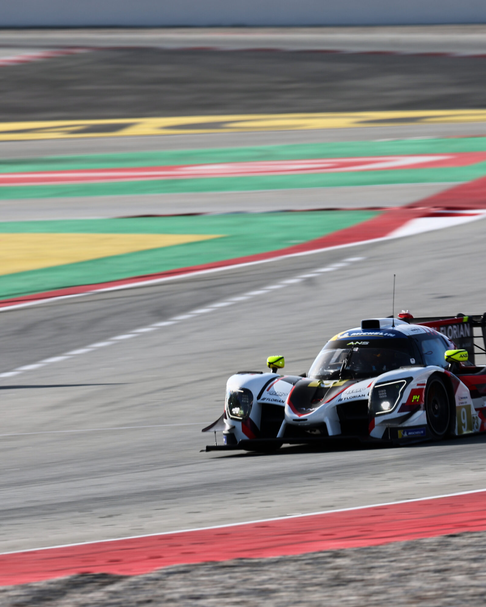 © 2026 Tracey Allan-McWilliams