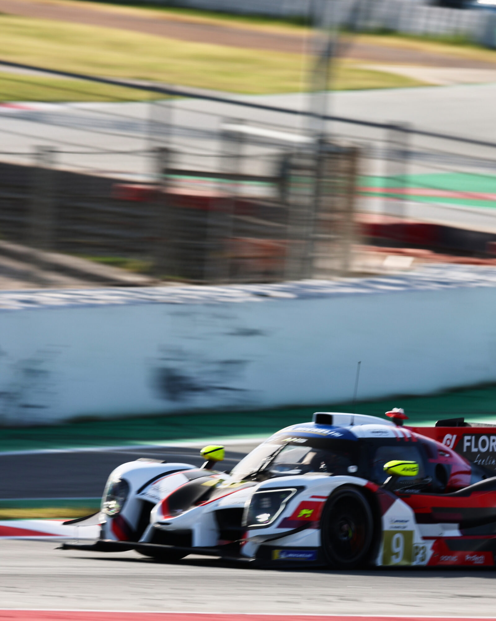 © 2026 Tracey Allan-McWilliams