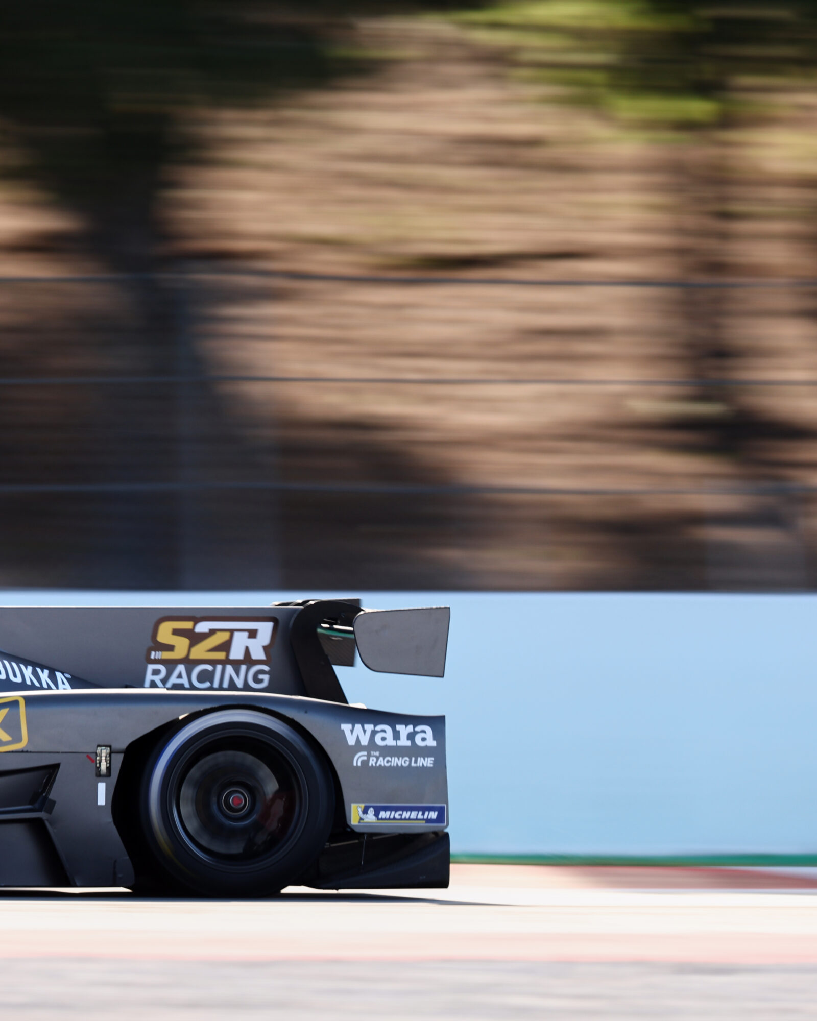 © 2026 Tracey Allan-McWilliams