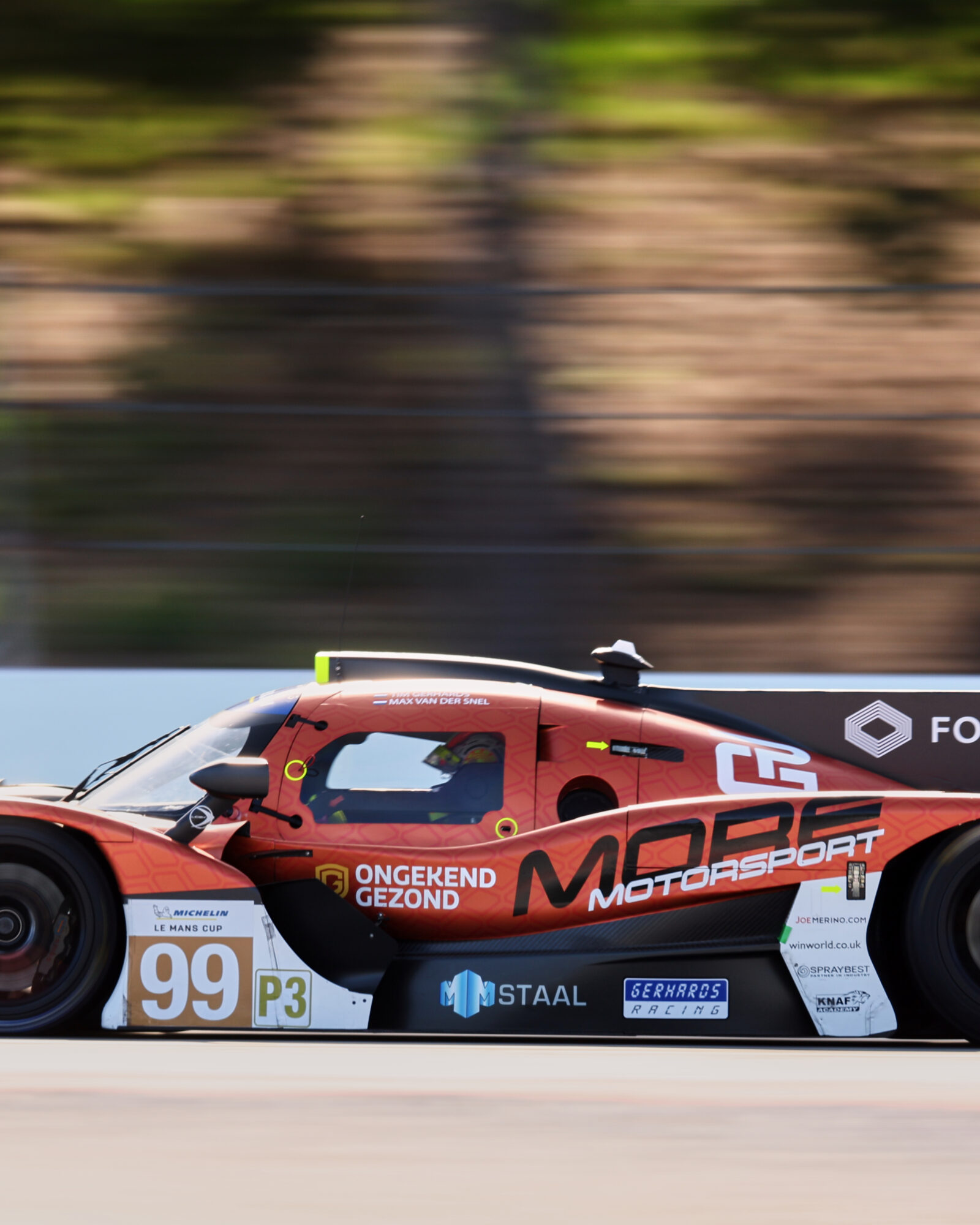 © 2026 Tracey Allan-McWilliams