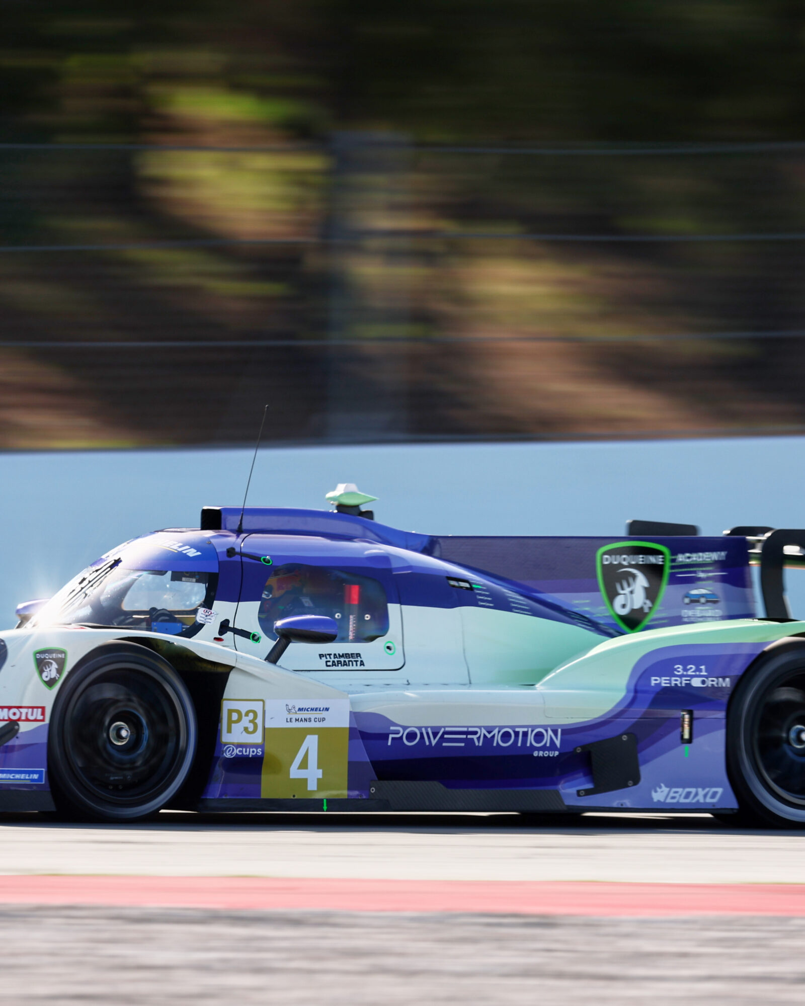 © 2026 Tracey Allan-McWilliams