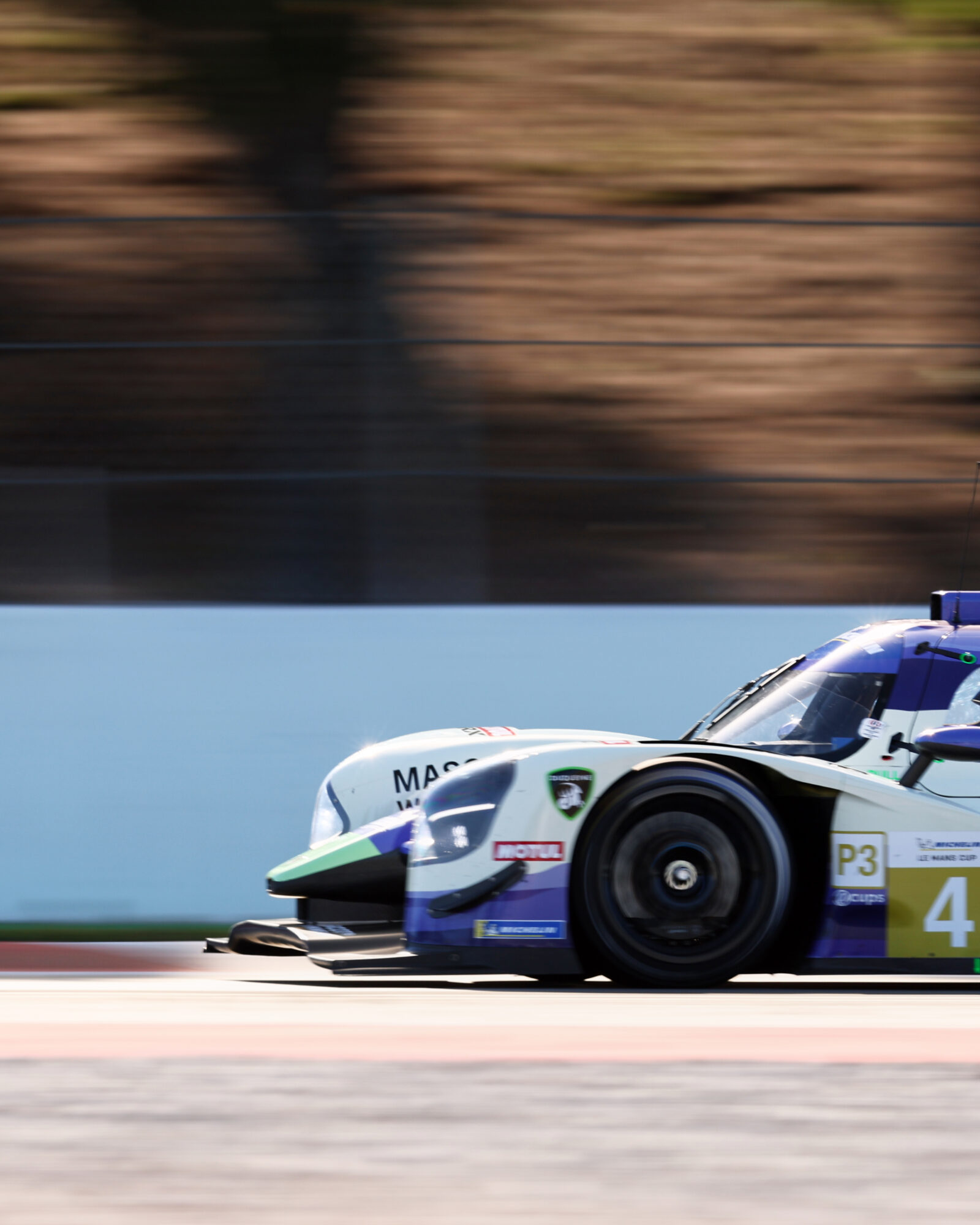 © 2026 Tracey Allan-McWilliams