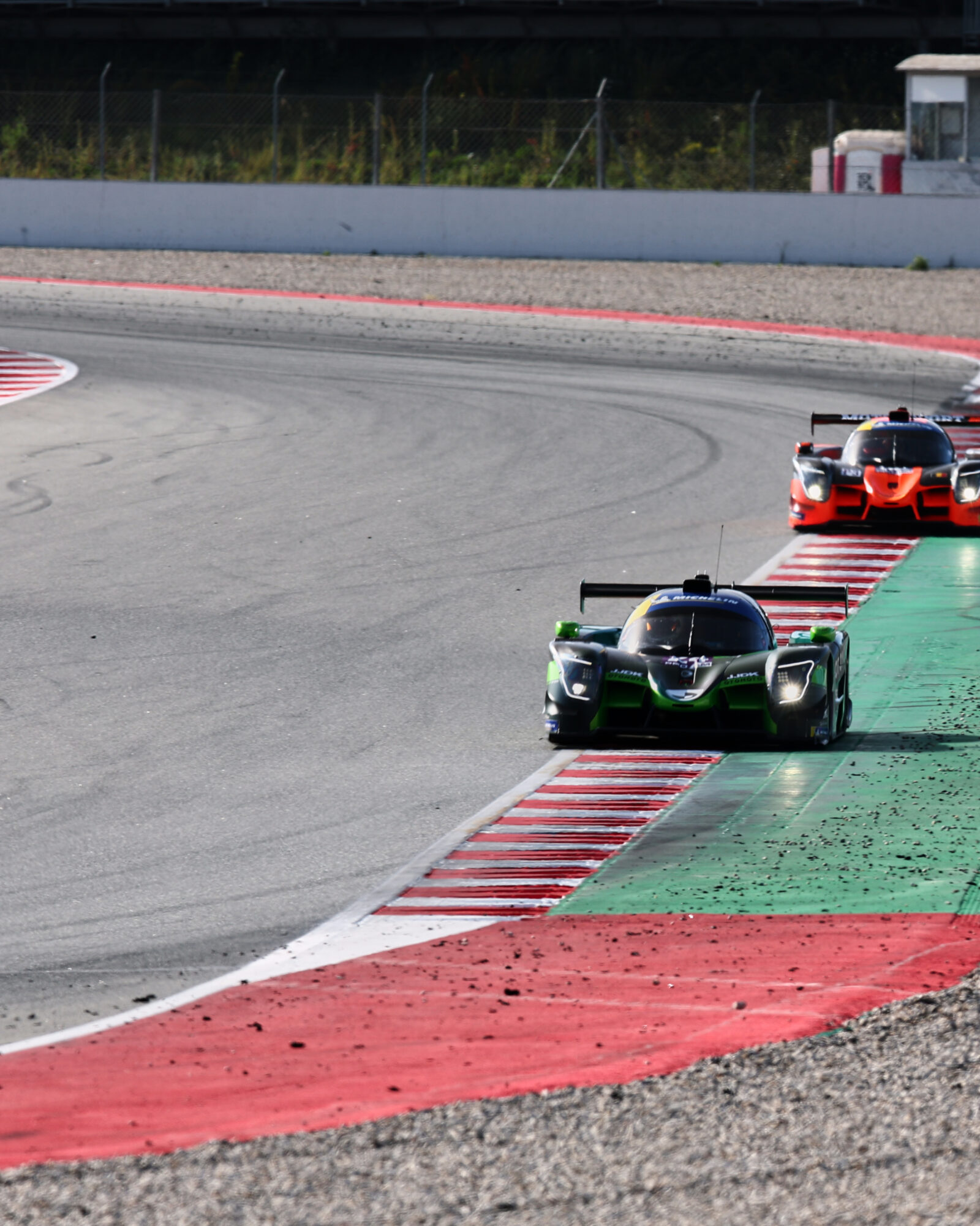 © 2026 Tracey Allan-McWilliams