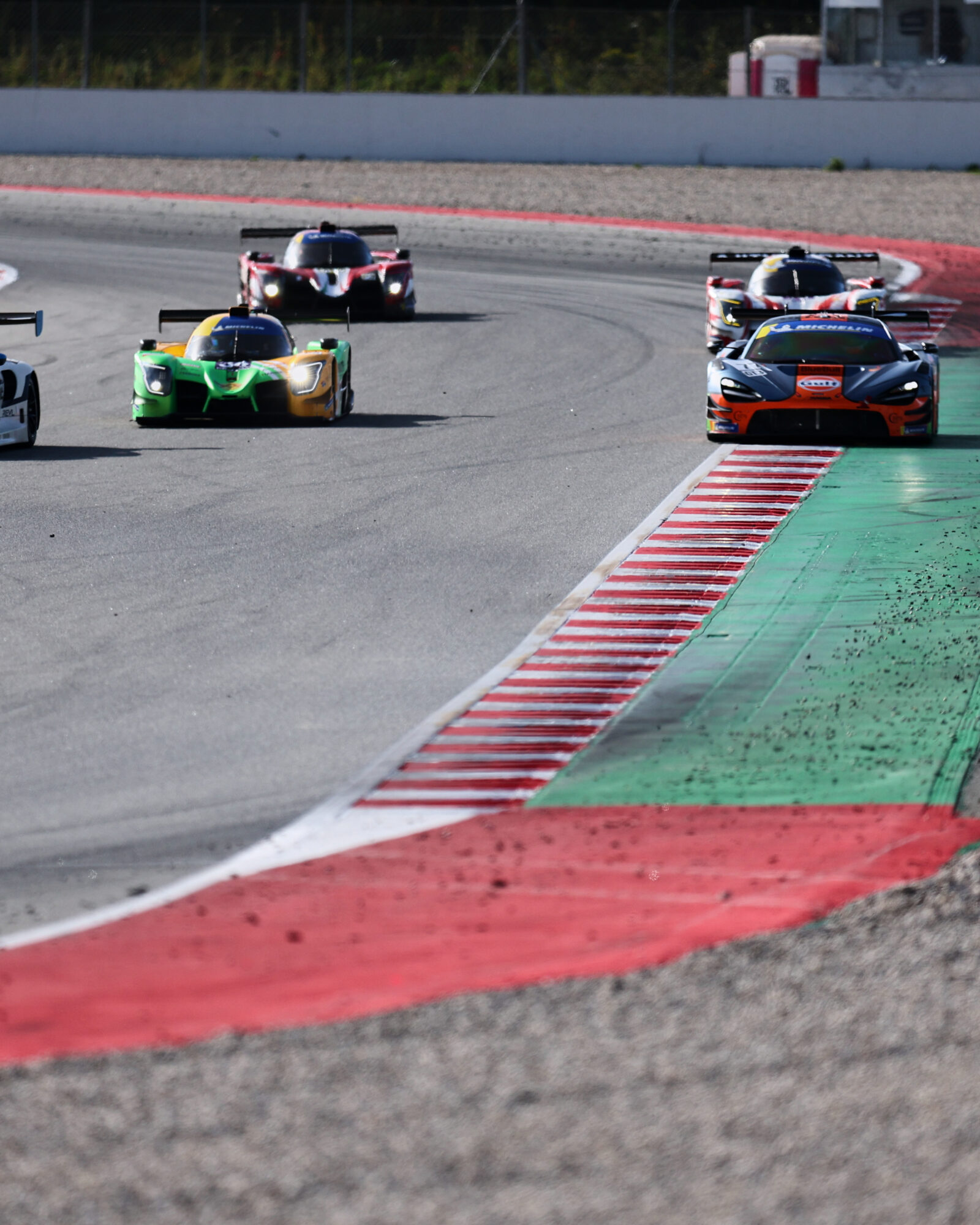 © 2026 Tracey Allan-McWilliams