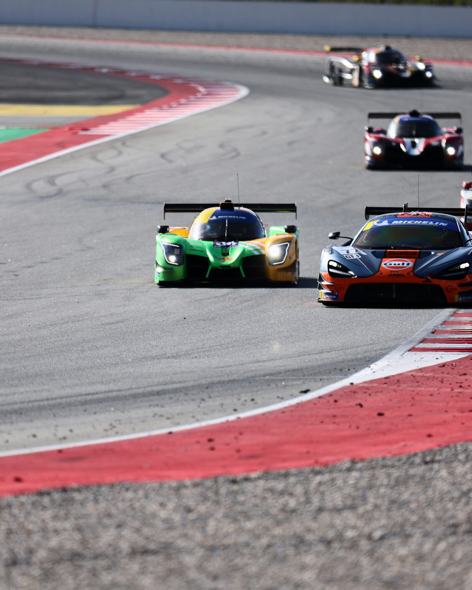 © 2026 Tracey Allan-McWilliams