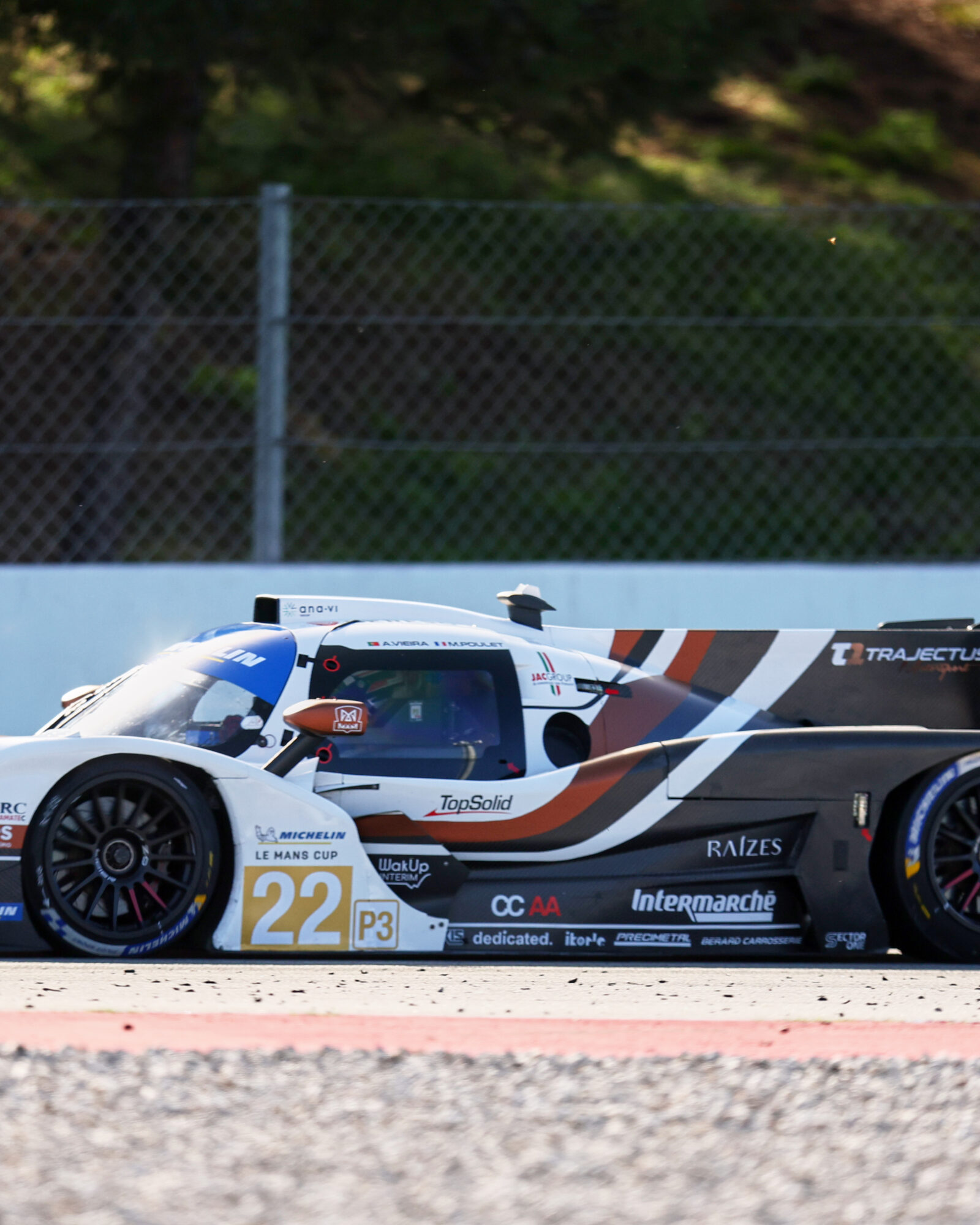 © 2026 Tracey Allan-McWilliams