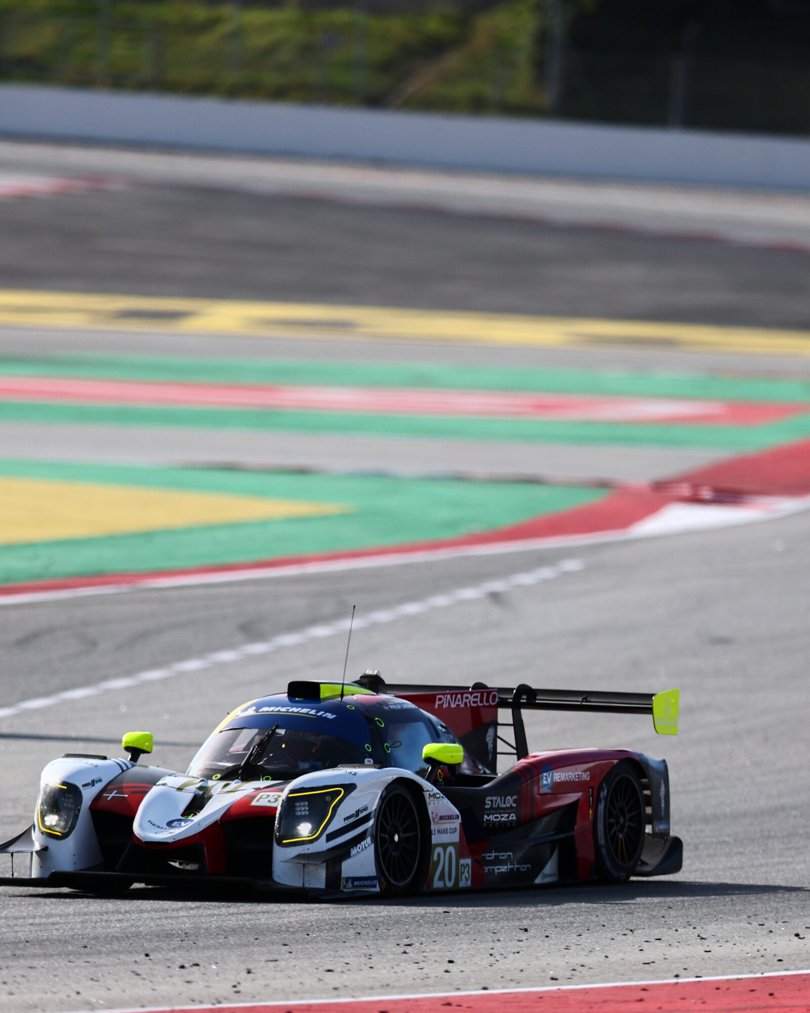 © 2026 Tracey Allan-McWilliams