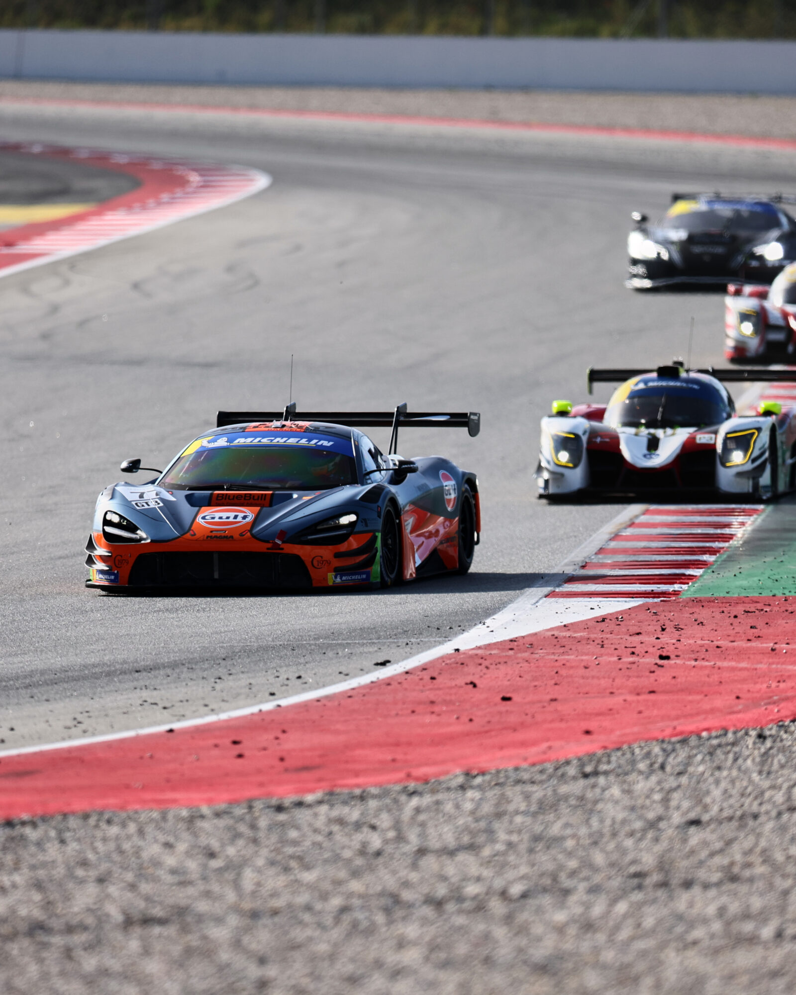 © 2026 Tracey Allan-McWilliams