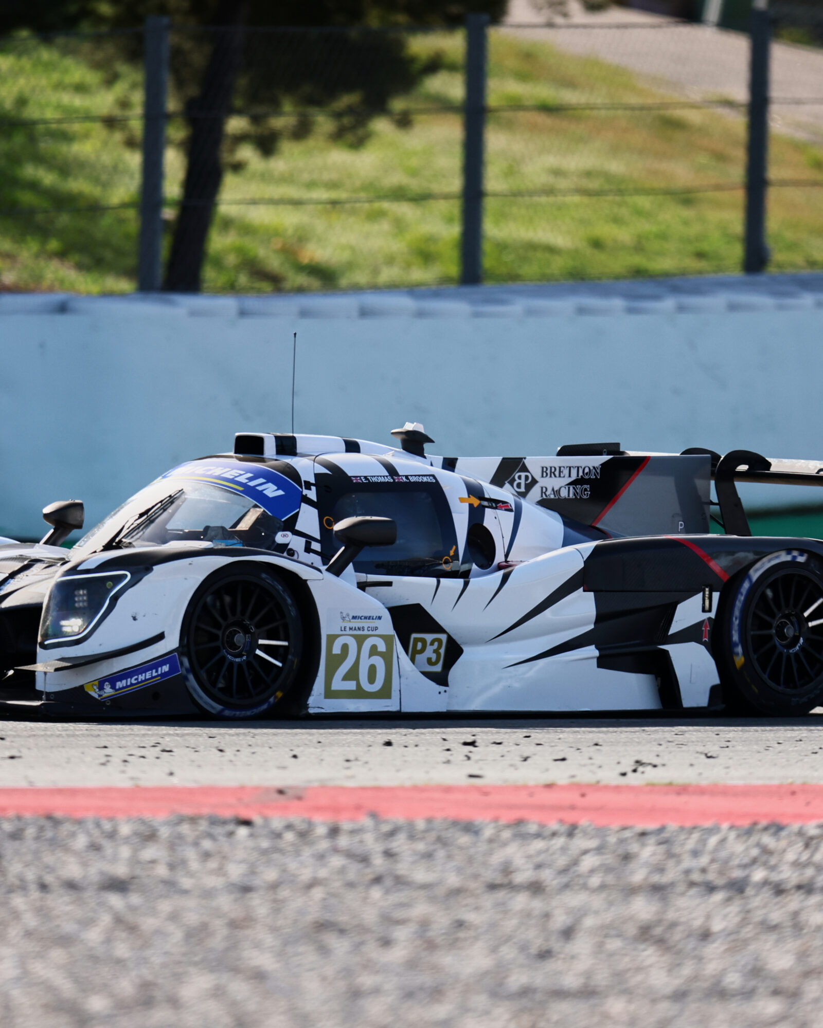 © 2026 Tracey Allan-McWilliams