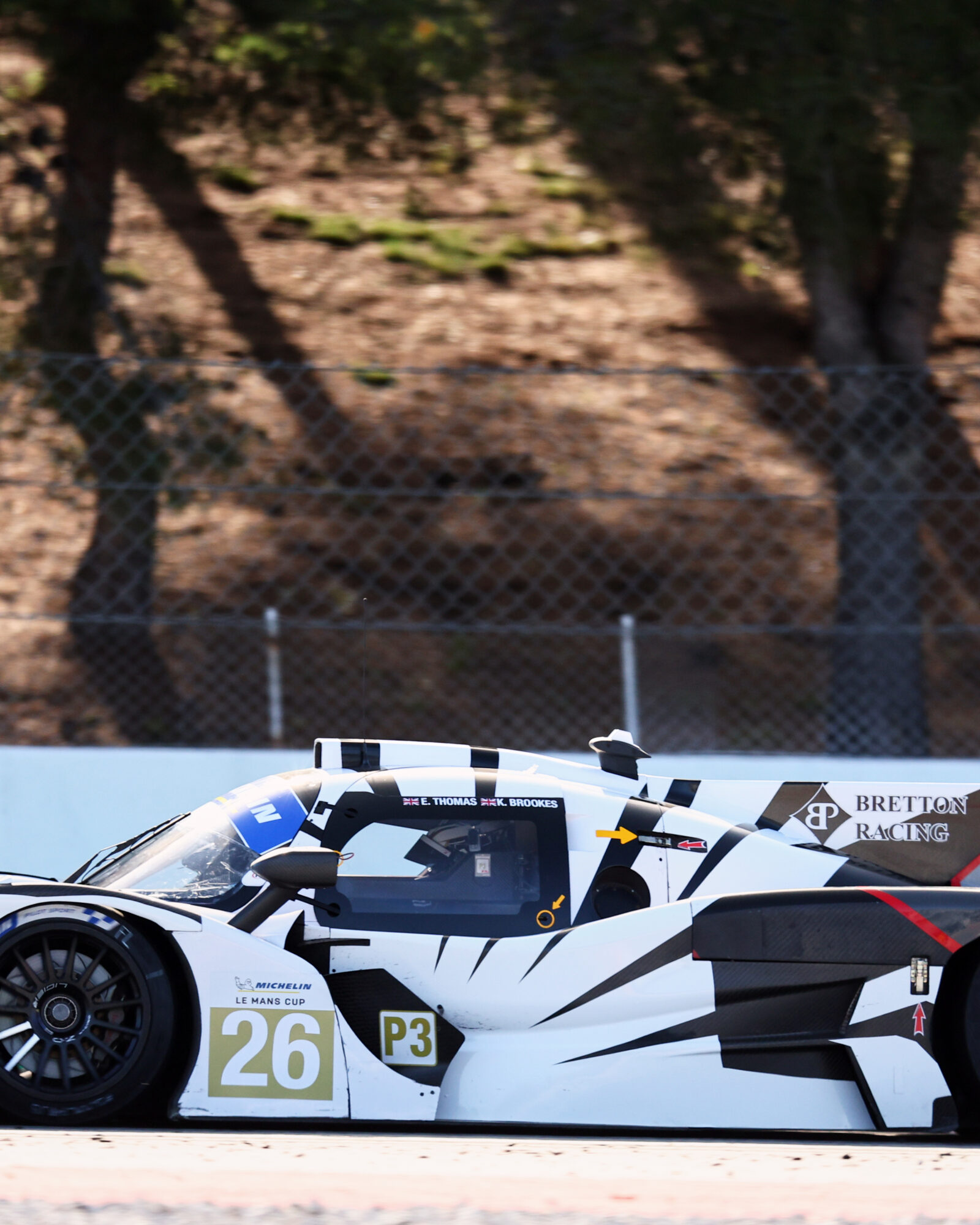 © 2026 Tracey Allan-McWilliams