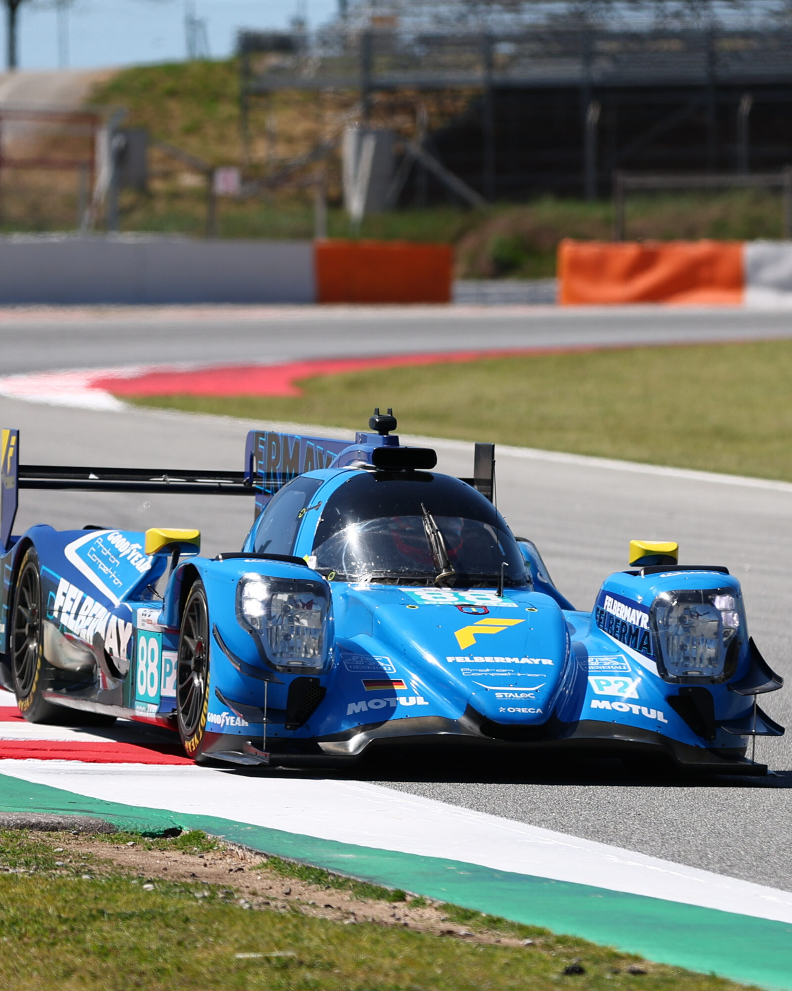 © 2026 Tracey Allan-McWilliams