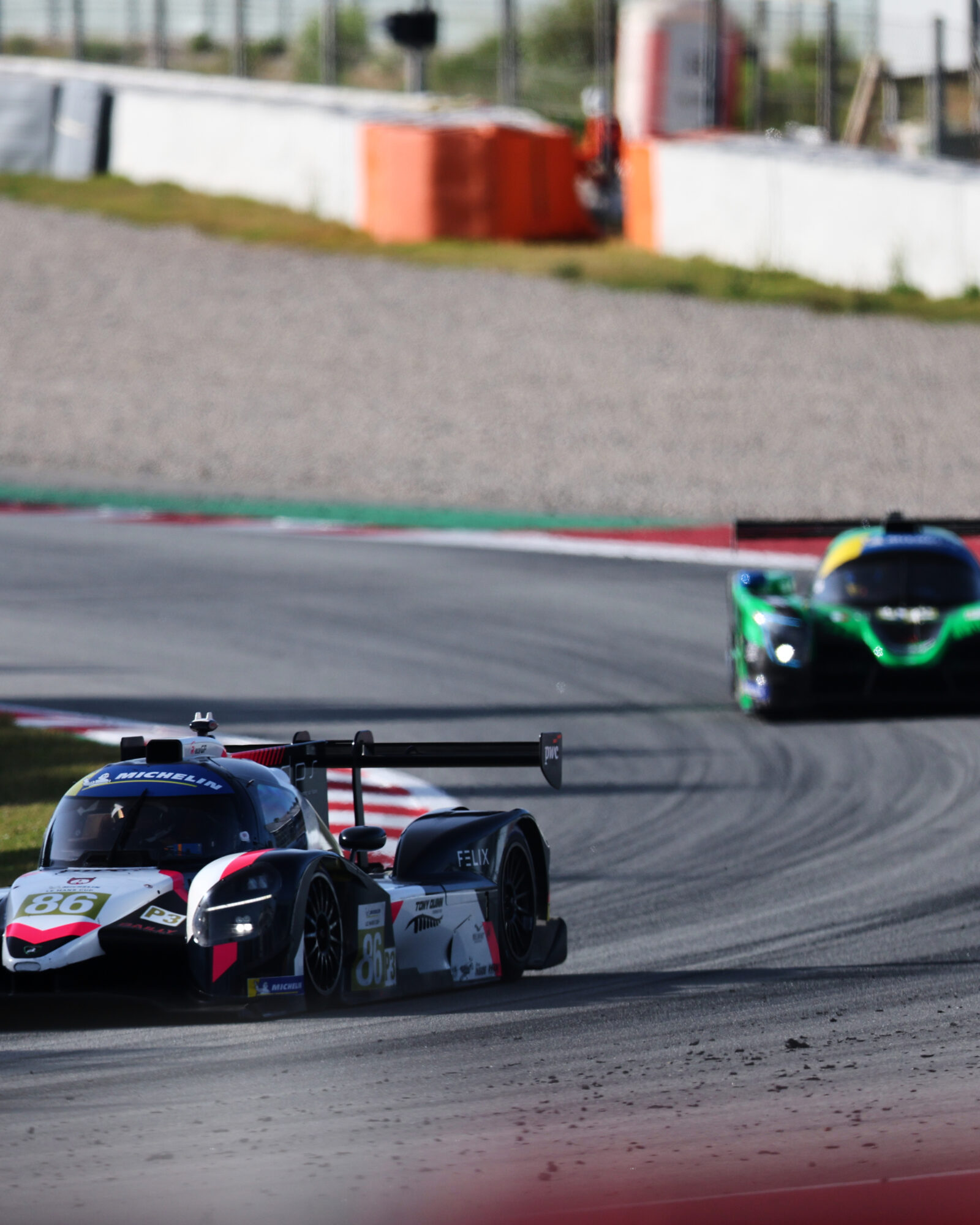 © 2026 Tracey Allan-McWilliams