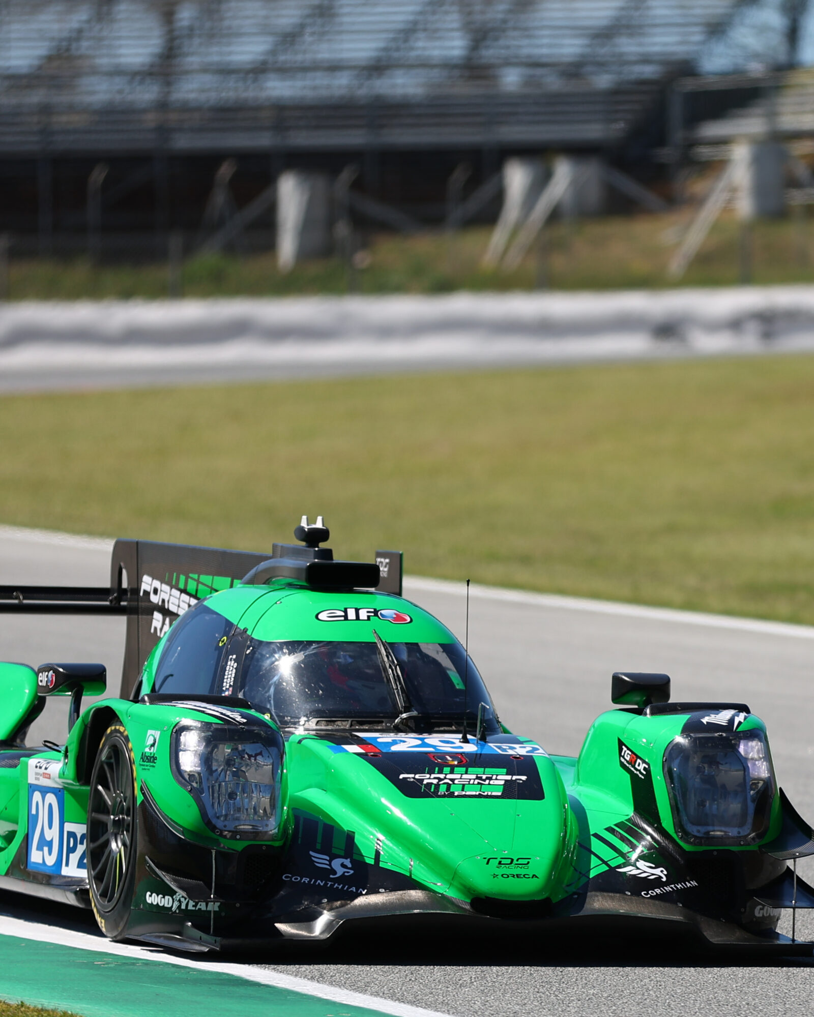 Tracey Allan-McWilliams