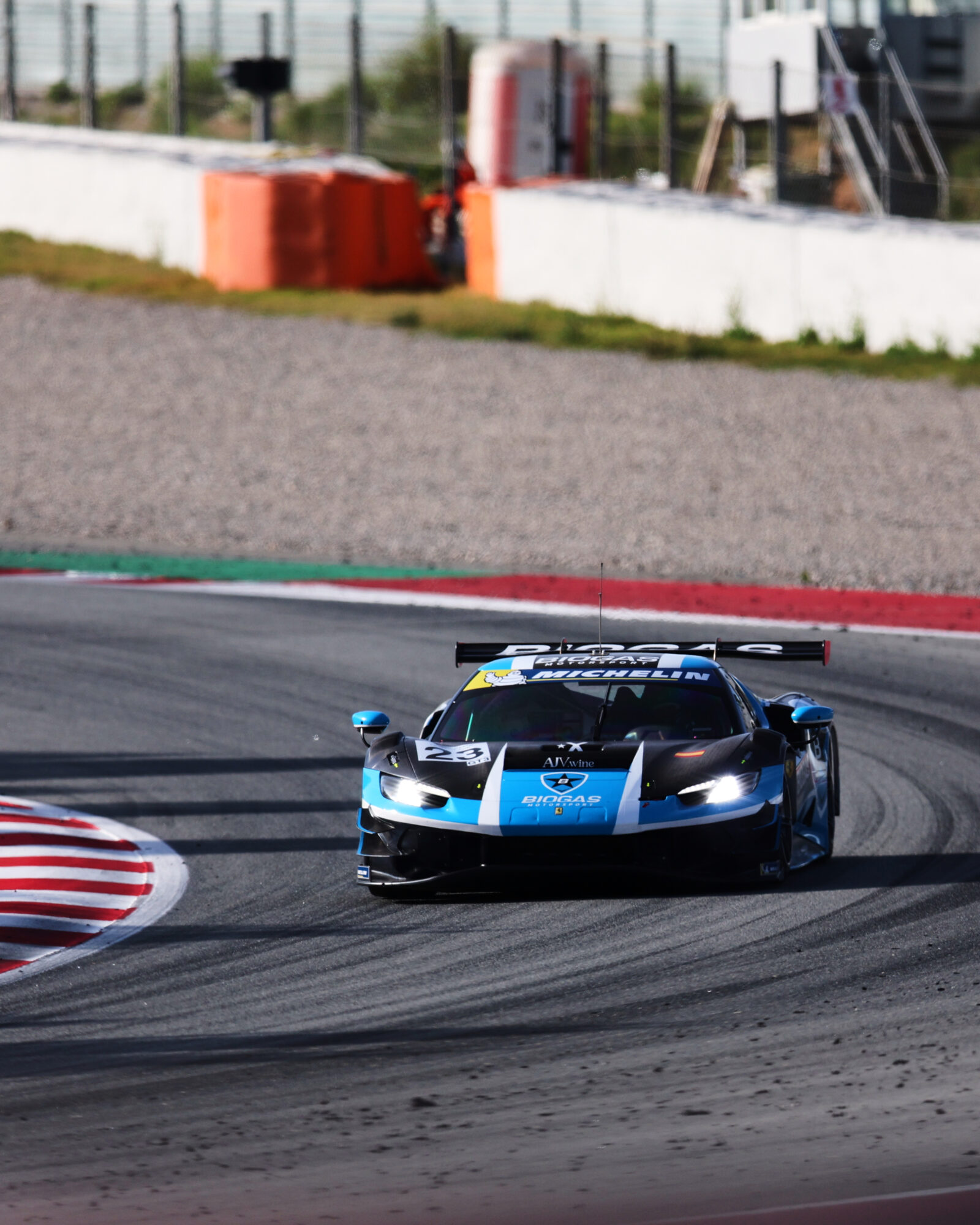 © 2026 Tracey Allan-McWilliams